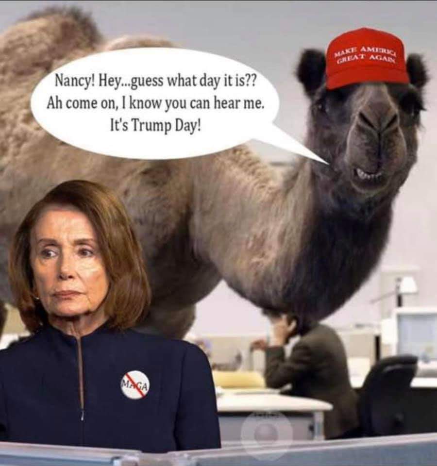 They somehow managed to make the Hump Day meme even worse than it