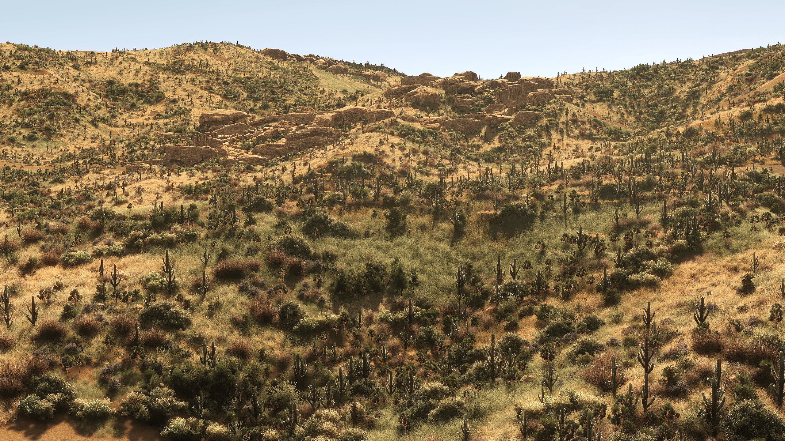 The great outdoors CitiesSkylines