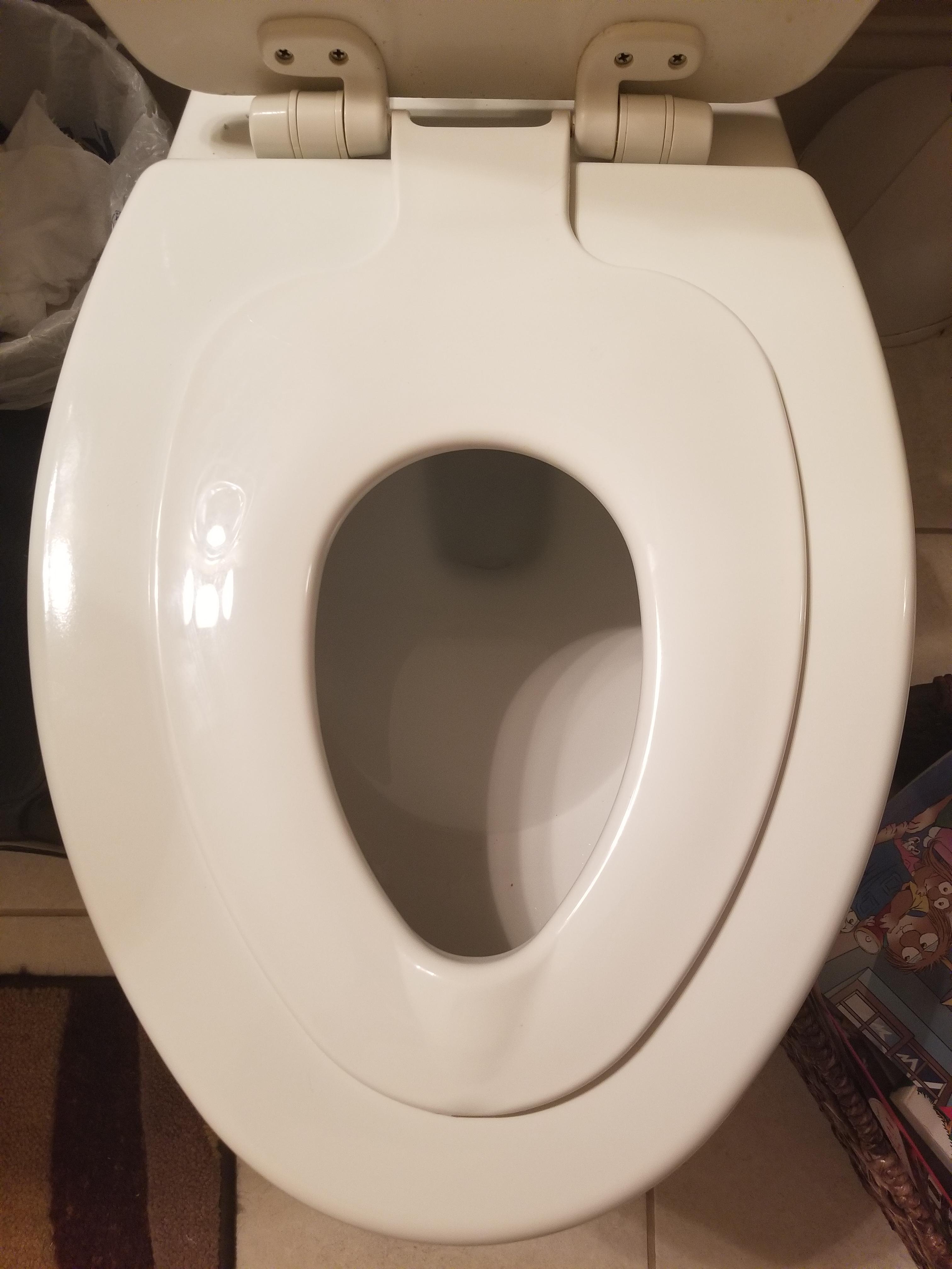 This toilet seat with an extra lid to make it a toddler seat r