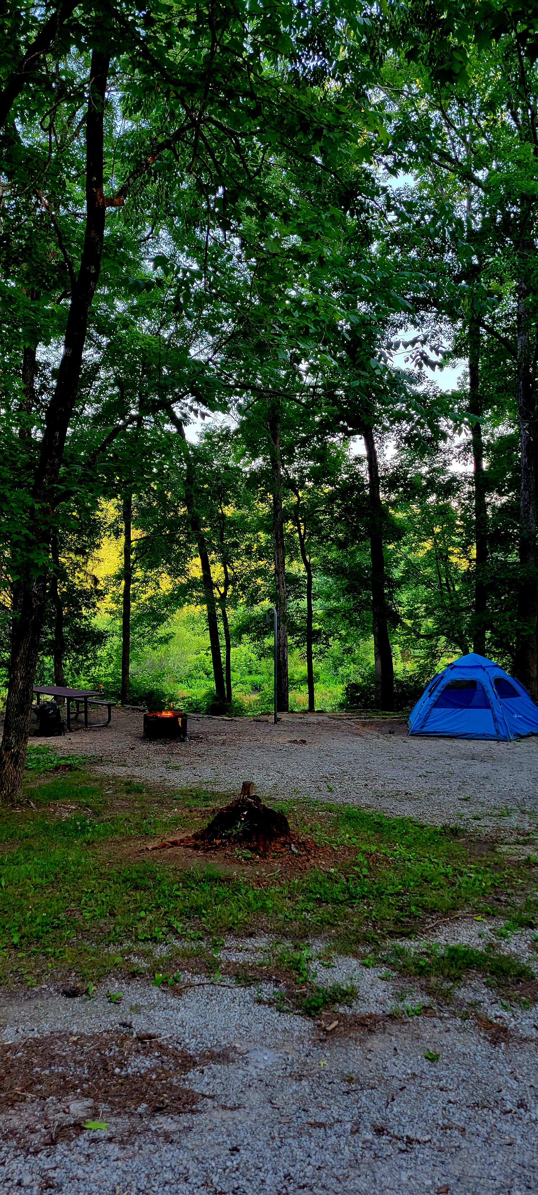 Brushy Lake Campground Bankhead National Forest, Alabama USA June 2022 r/camping