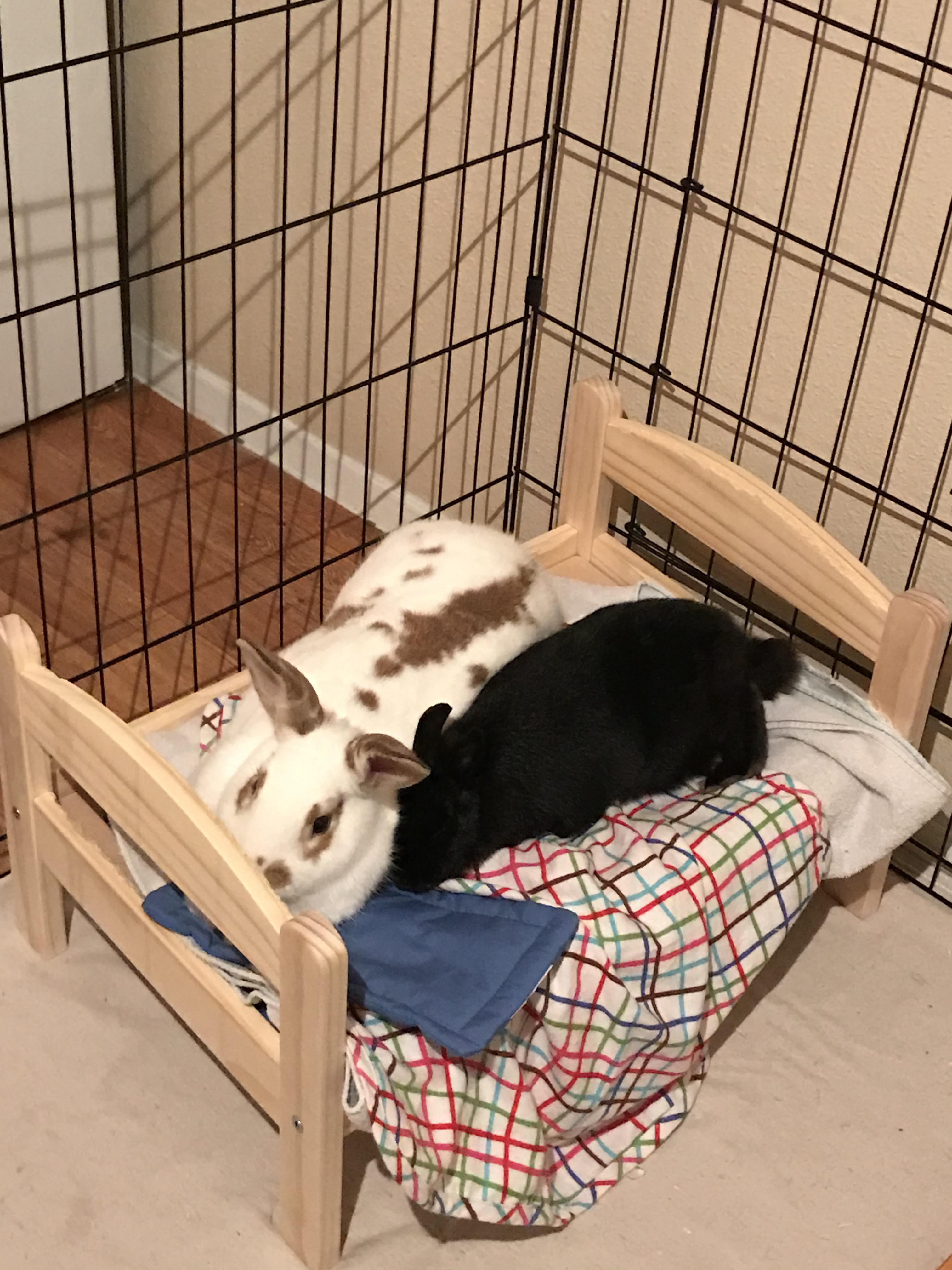 Got this IKEA doll bed idea from someone in this subreddit... no regrets!!