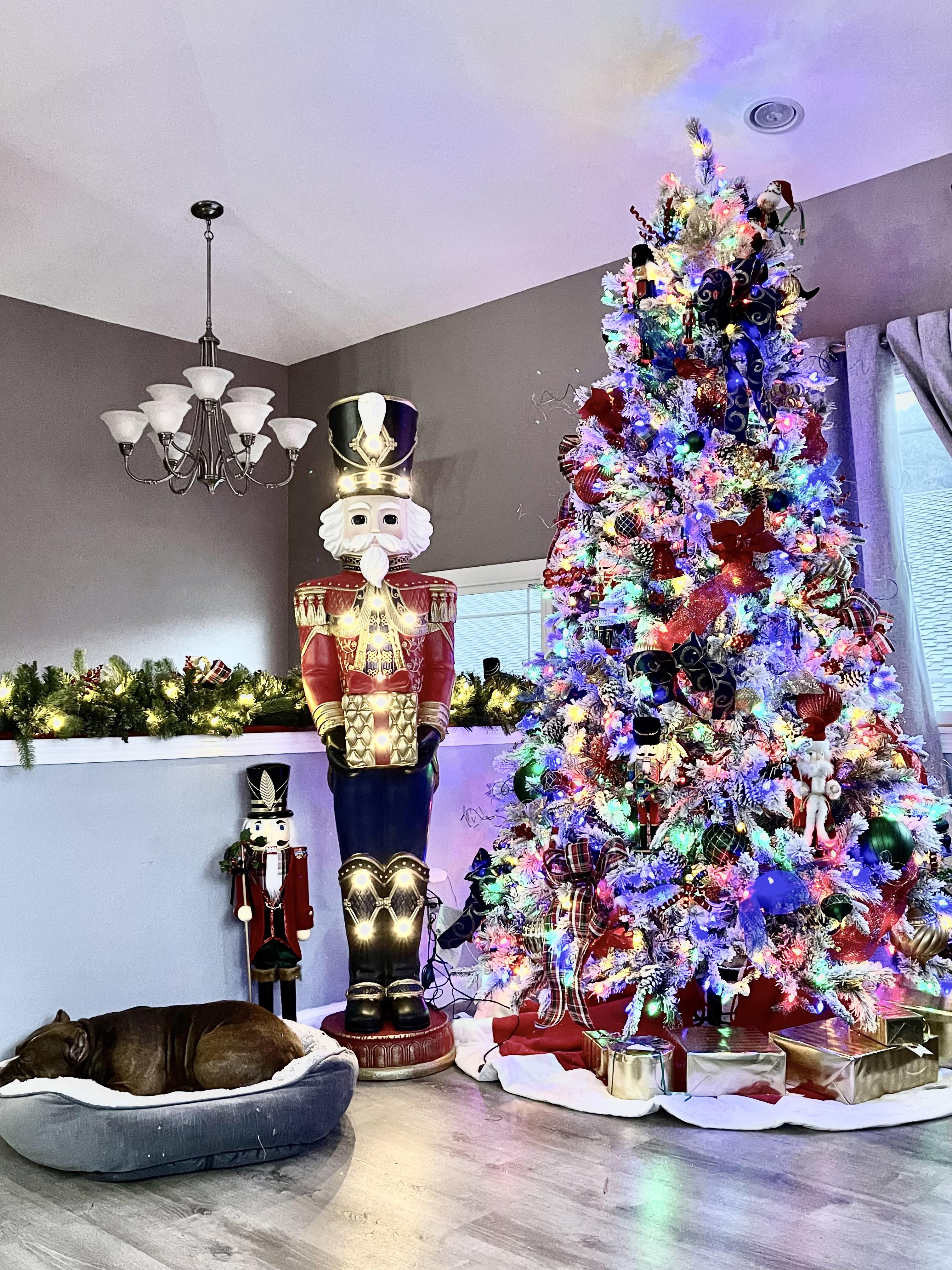 2021 Christmas Tree r/ChristmasTrees