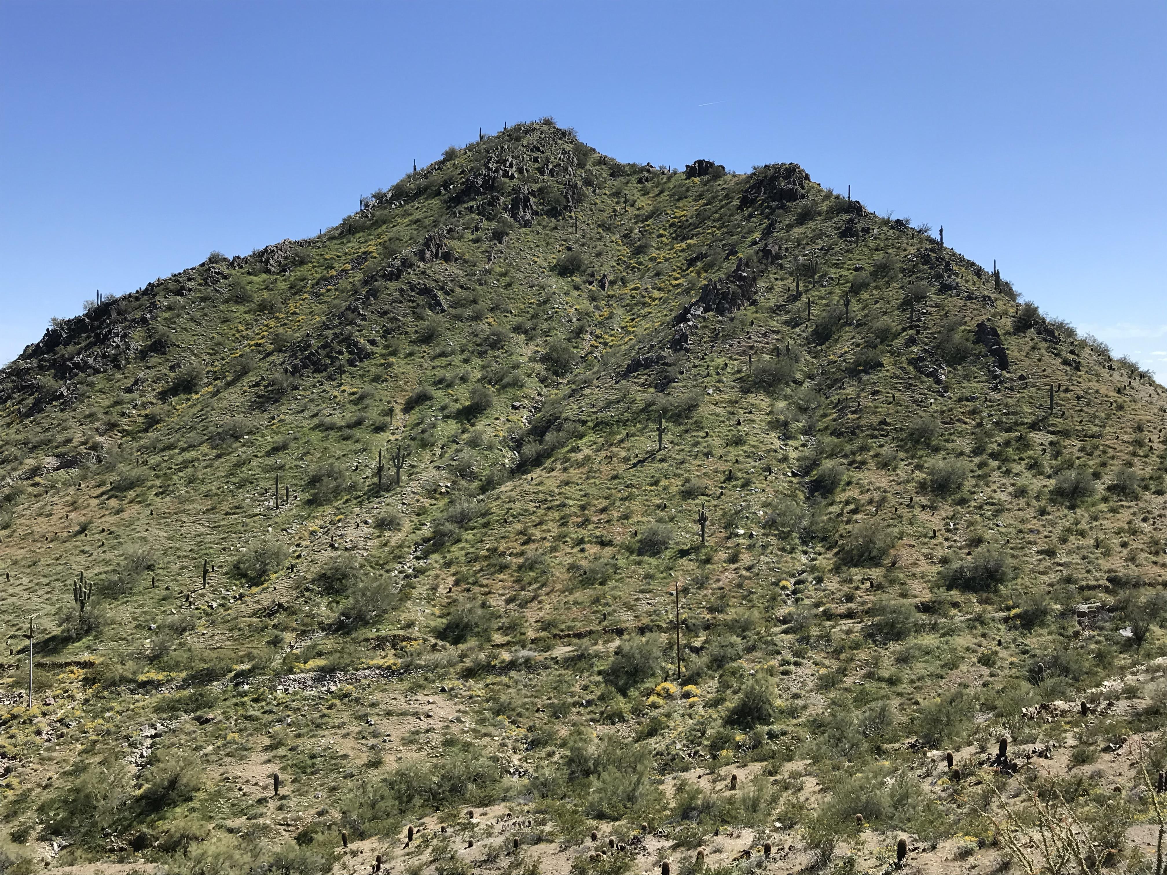 North Mountain Park is as green as I've seen it in years. r/phoenix