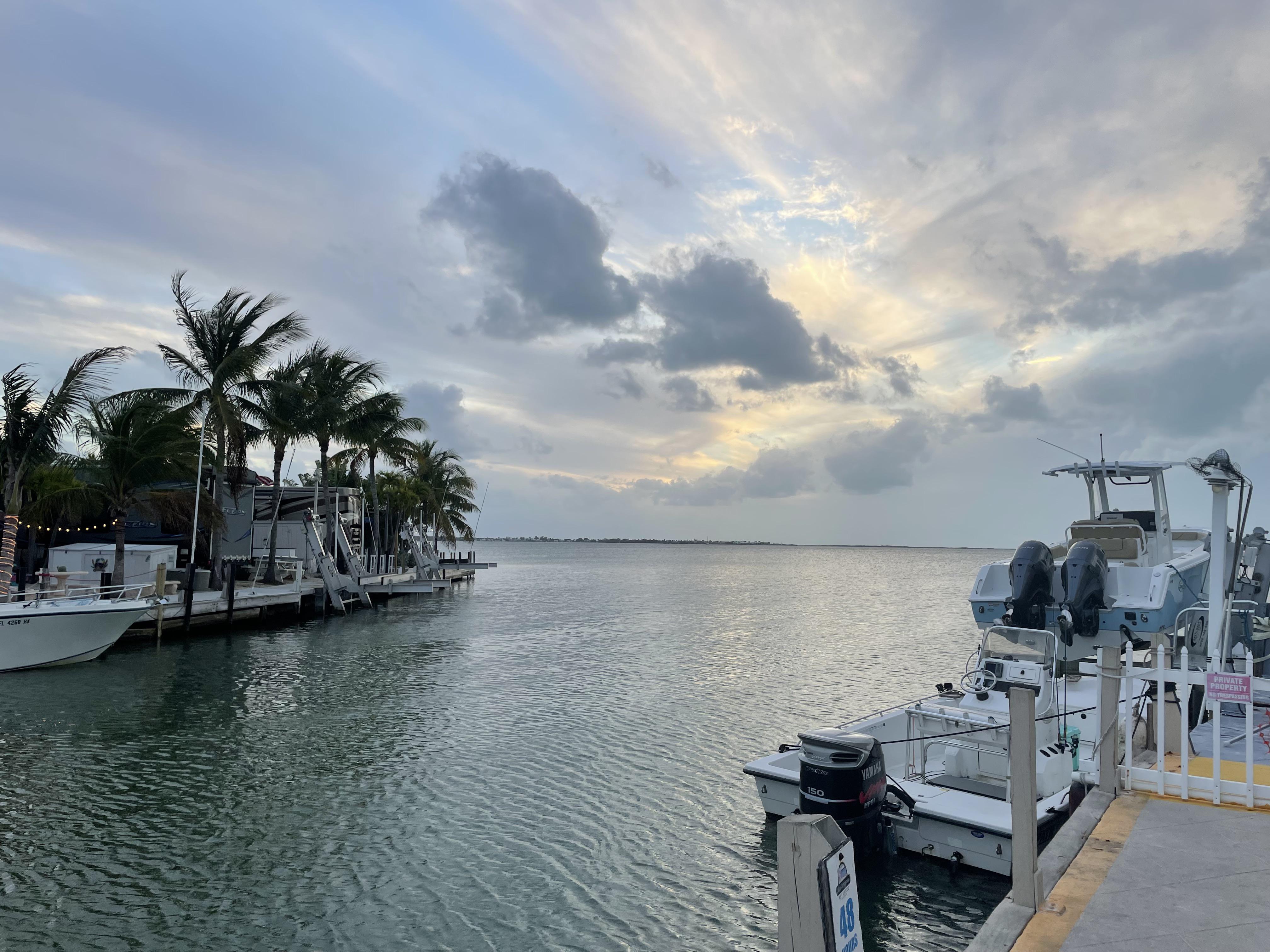 Key Largo Calusa Campground r/florida