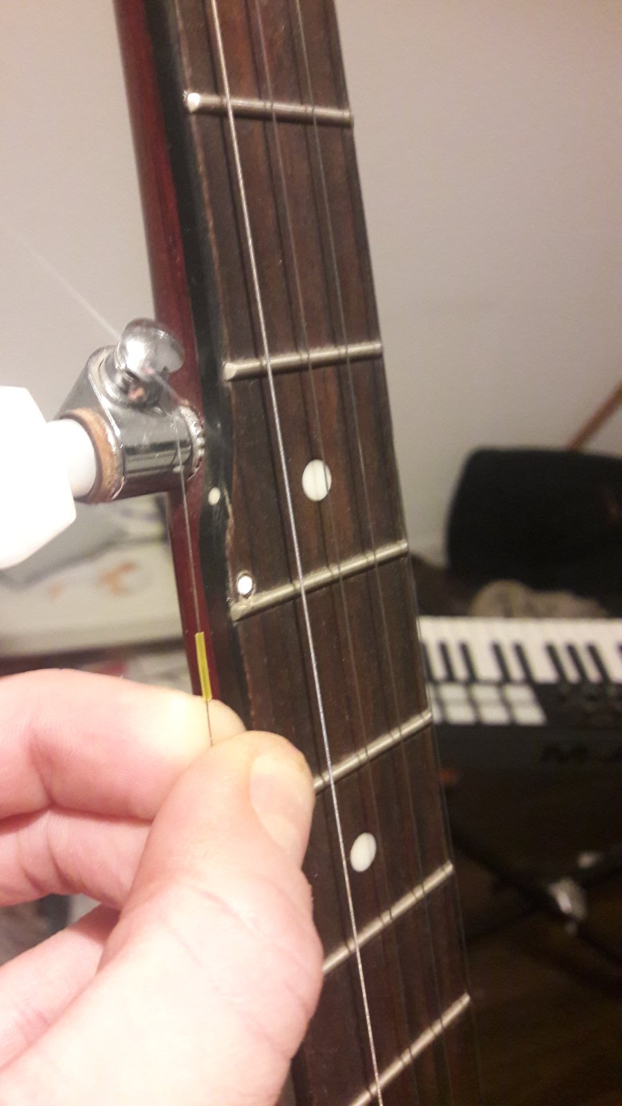 Hi! What is this 'bit' called that has snapped on my neck, and is it