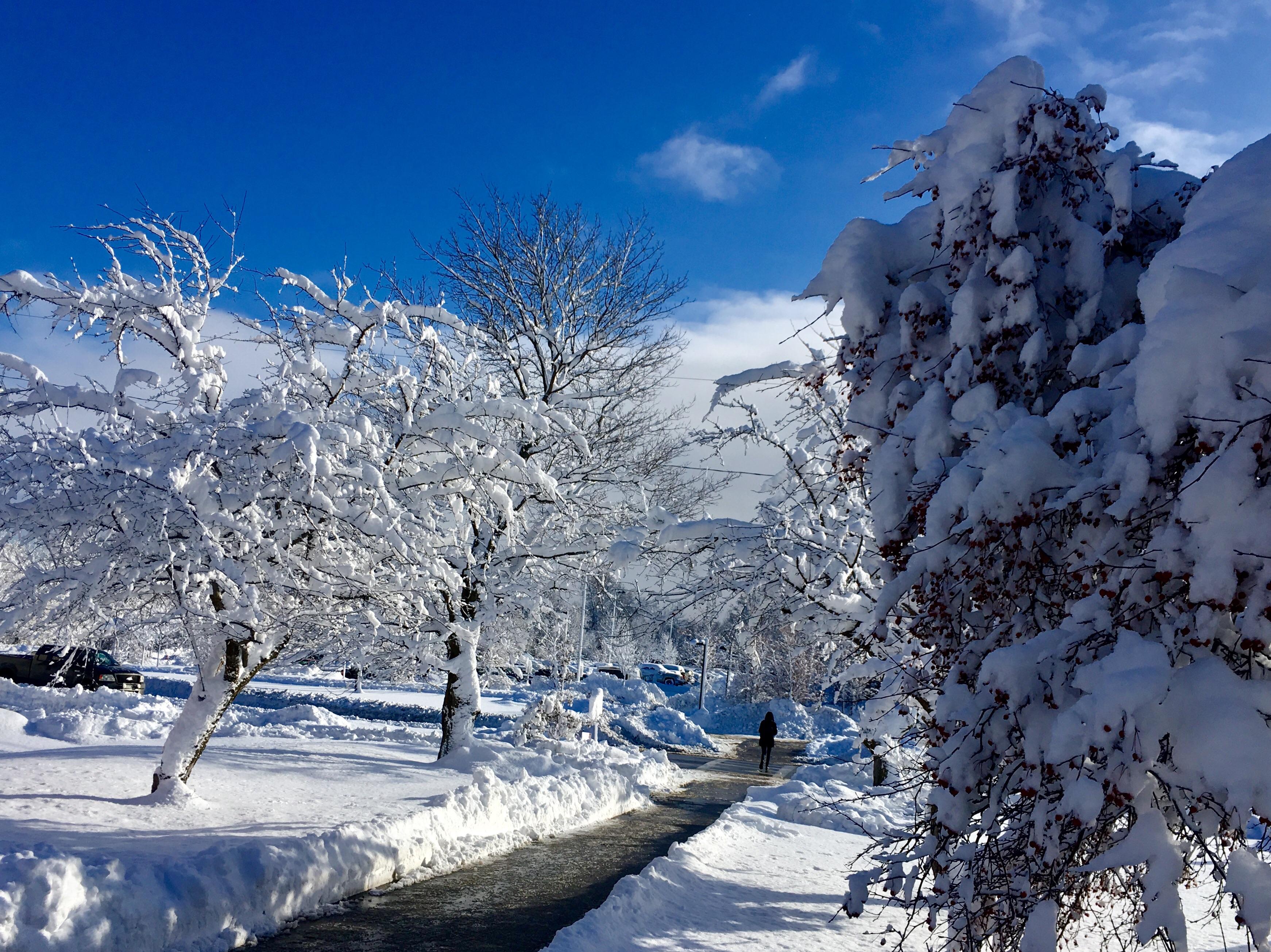 From yesterday's snow r/pics