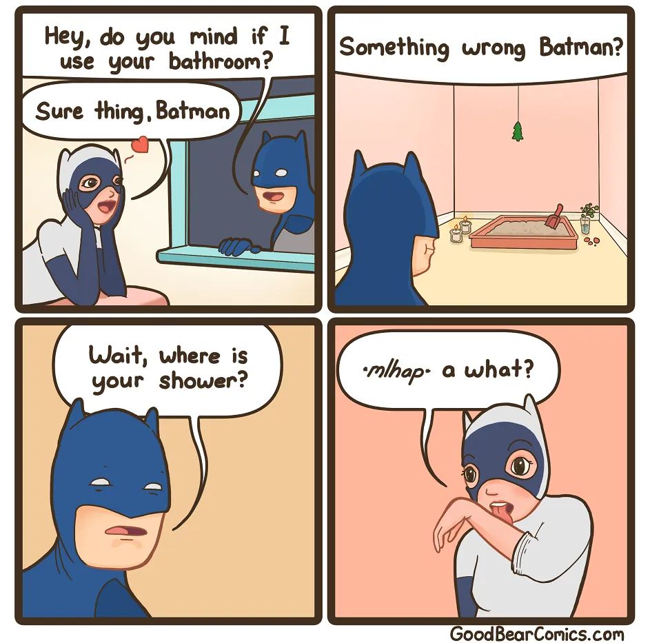 Quick, to the BatToilet! r/HolUp