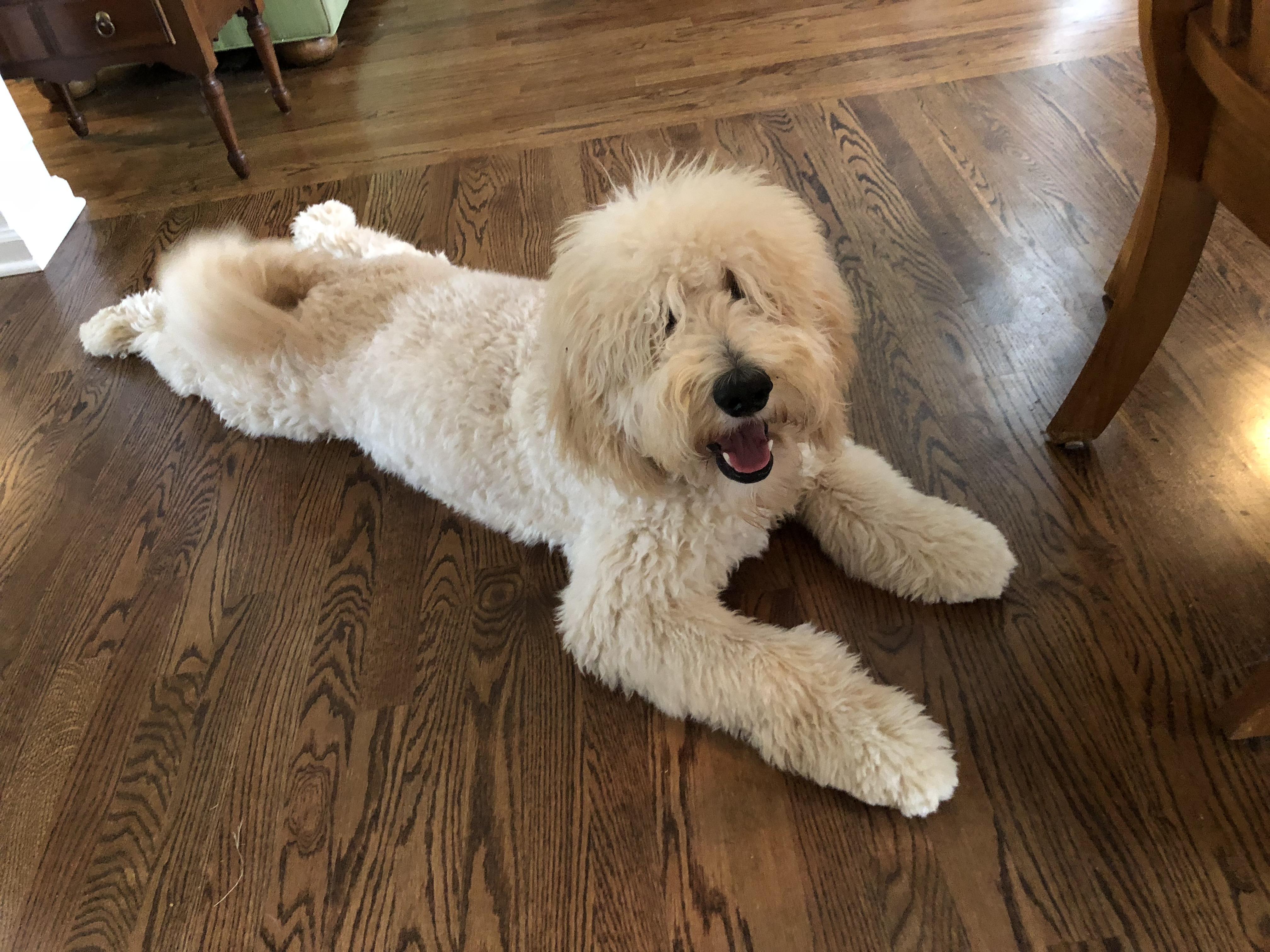 Rod Stewart lookin ahh Sploot sploot