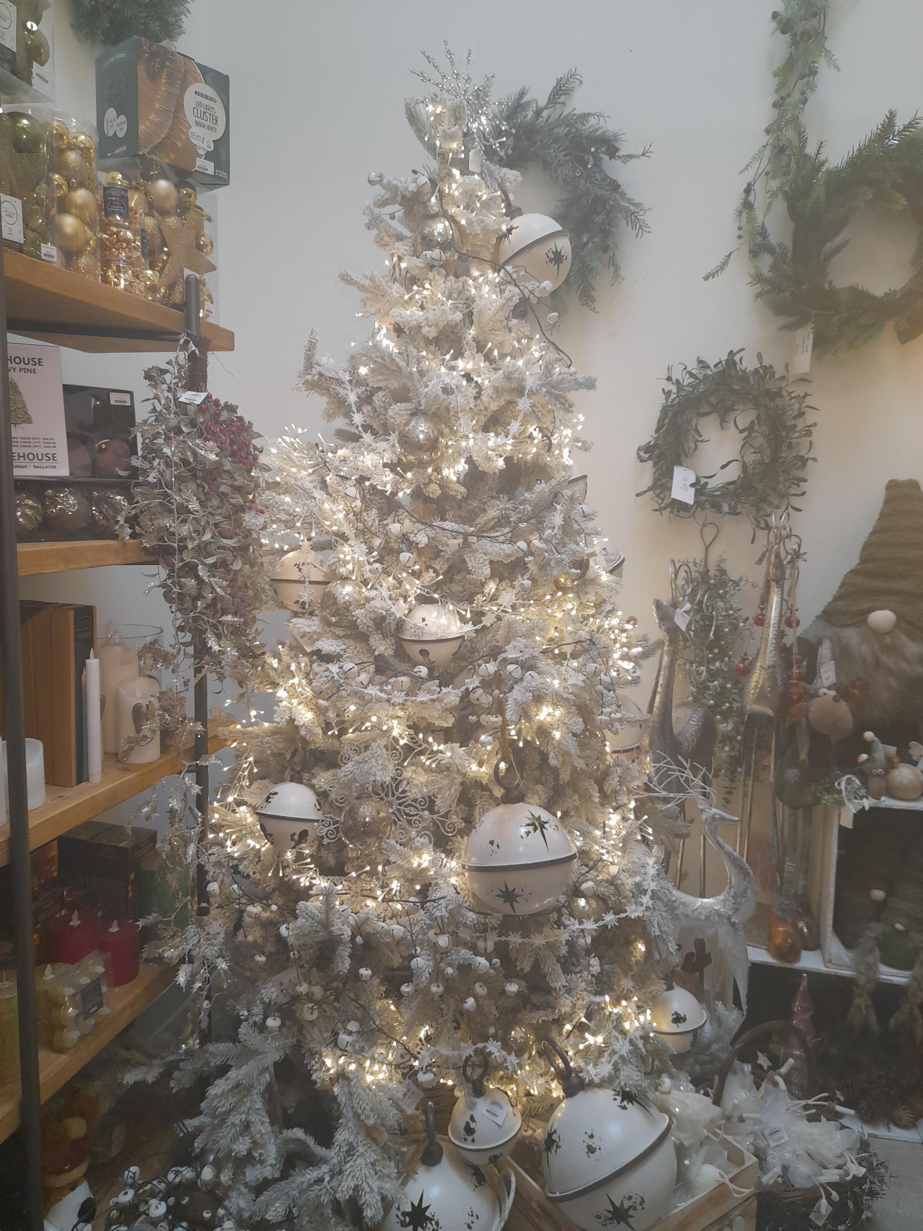 A Christmas tree I saw today in a shop in Aberdeenshire, Scotland OC