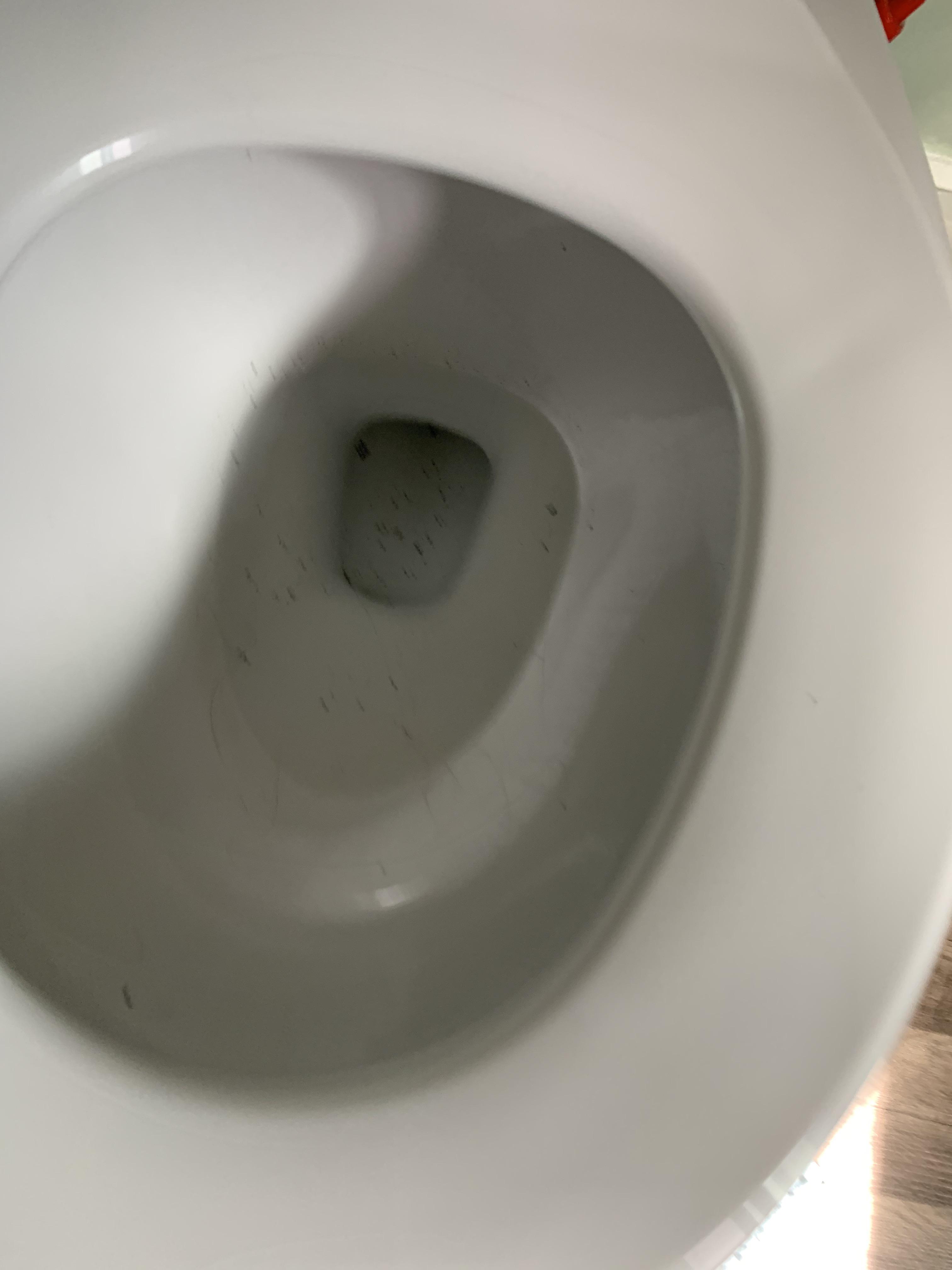 Any idea what’s causing these particles when toilet is sitting idle