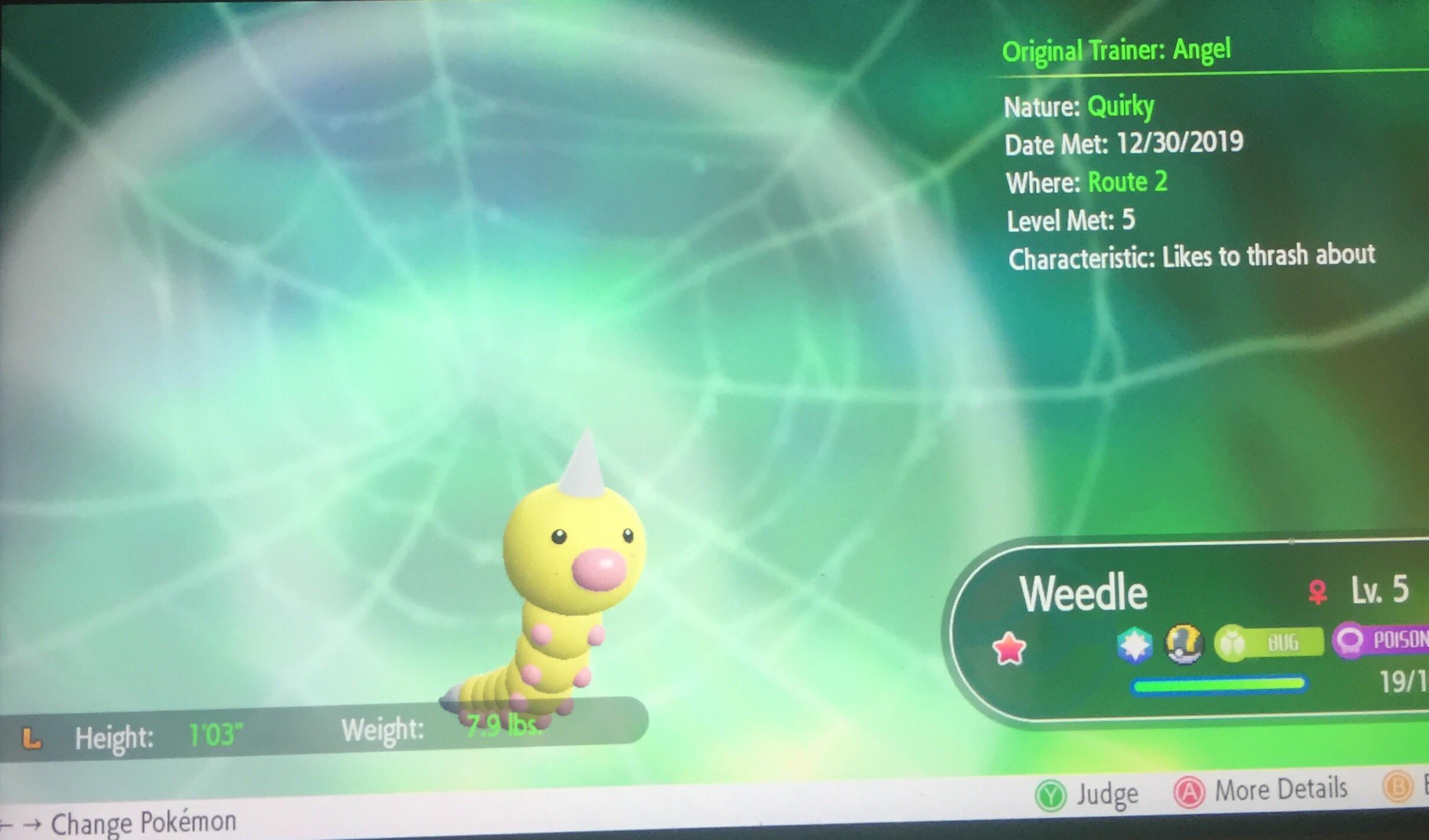 5iv Shiny weedle with a combo of 42 and max lure r/PokemonLetsGo