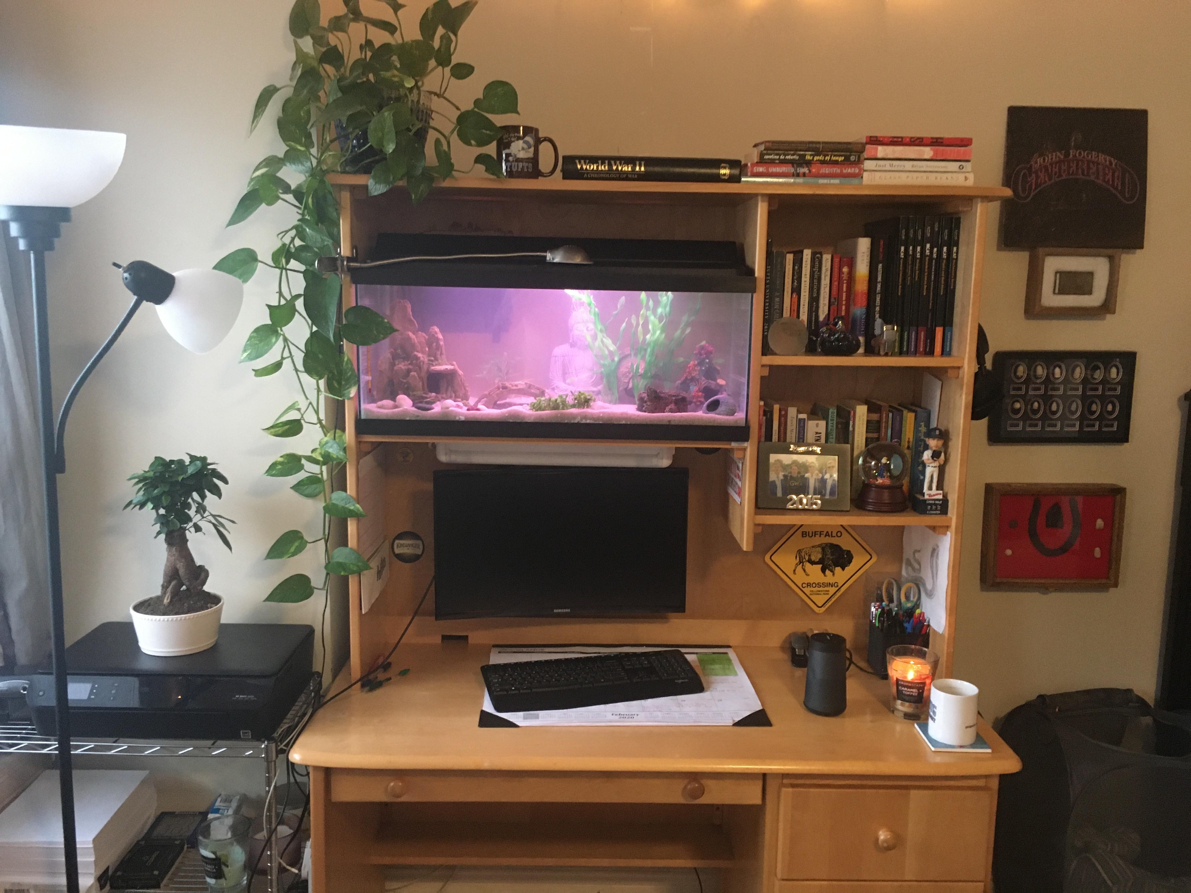 20 Gallon Long Aquarium Stand DIY