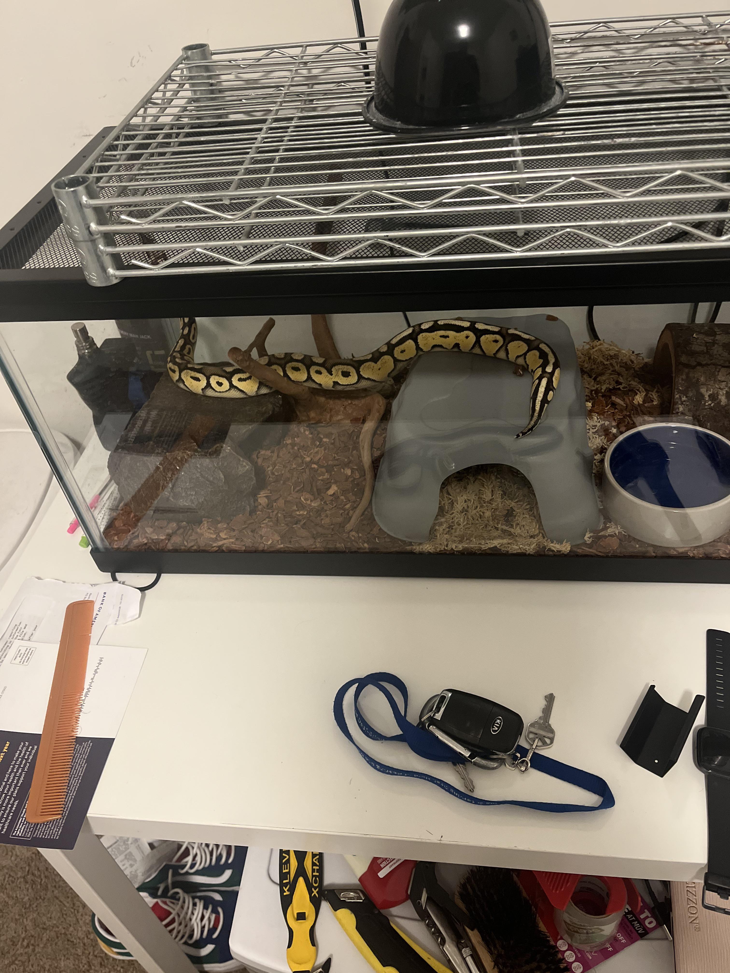 After a long week of surviving in a tub with hand warmers n warm water