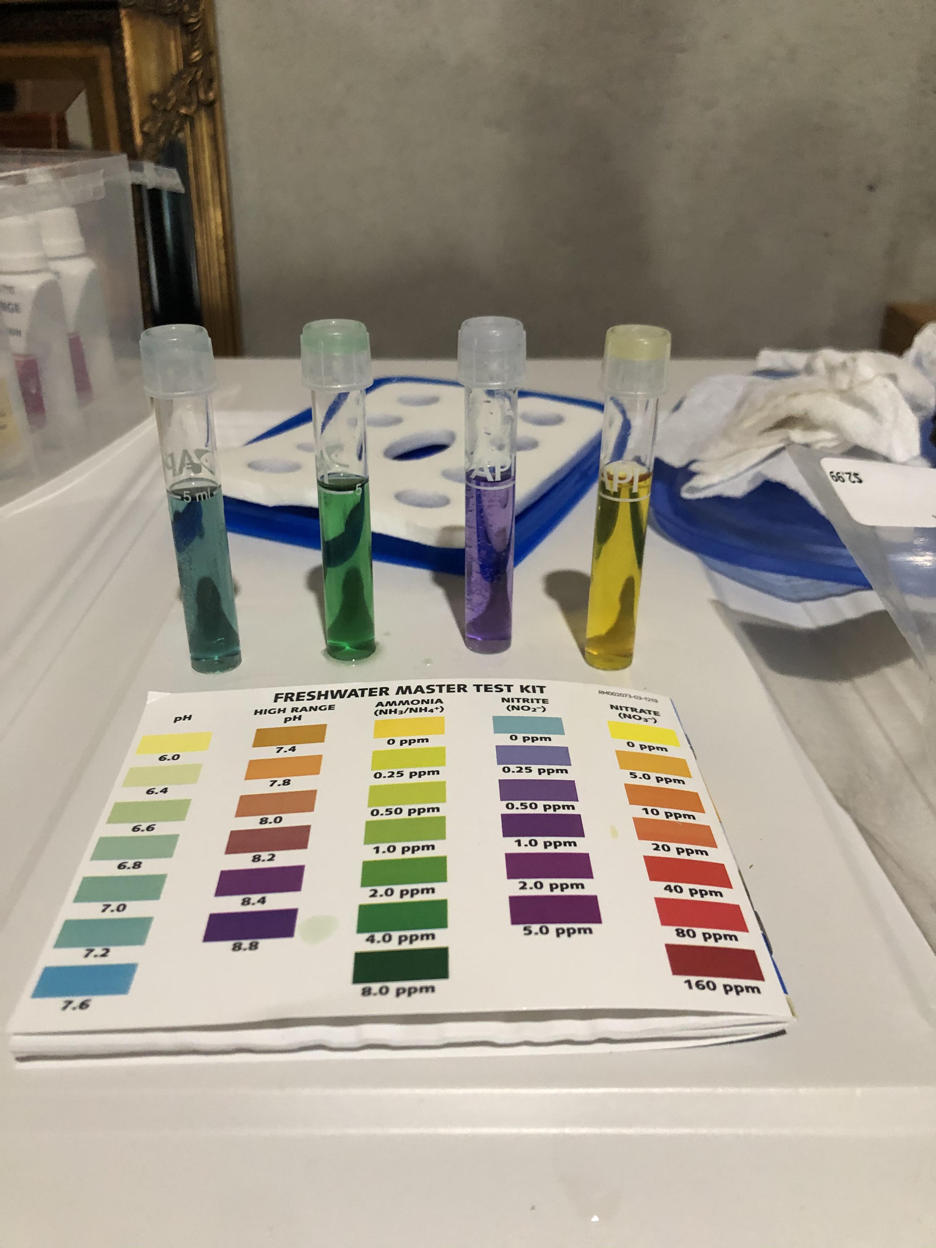 Did my tank cycle crash? r/axolotls