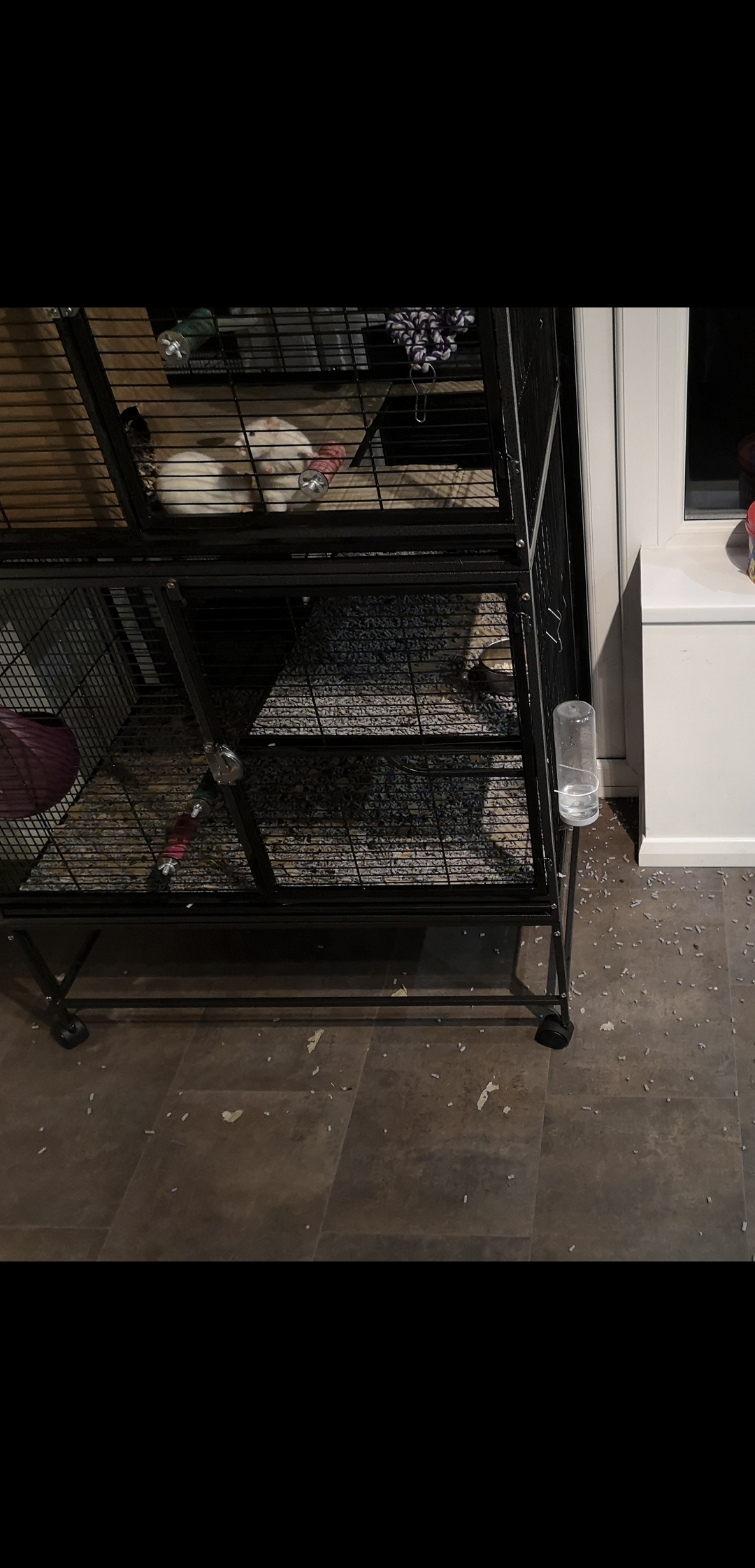 Need advice on new cage and what bedding to use.... r/RATS