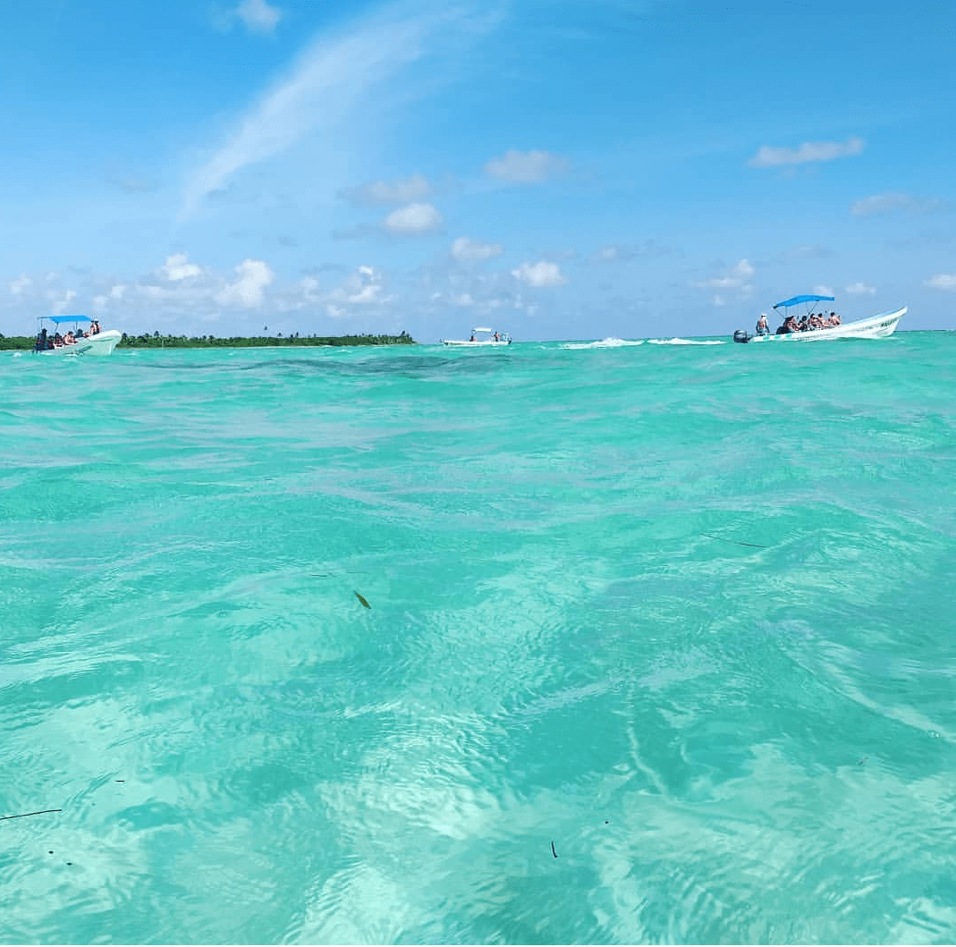 The best place of the riviera!! Punta Allen 😎 r/tulum