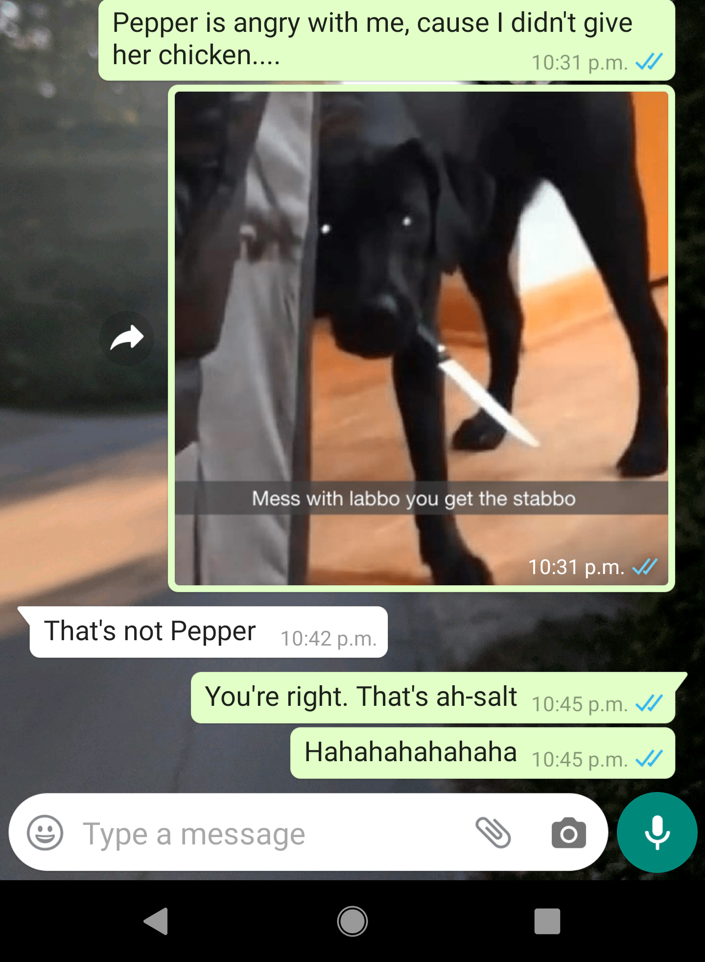 Pepper is a cross breed... r/FunnyTexts