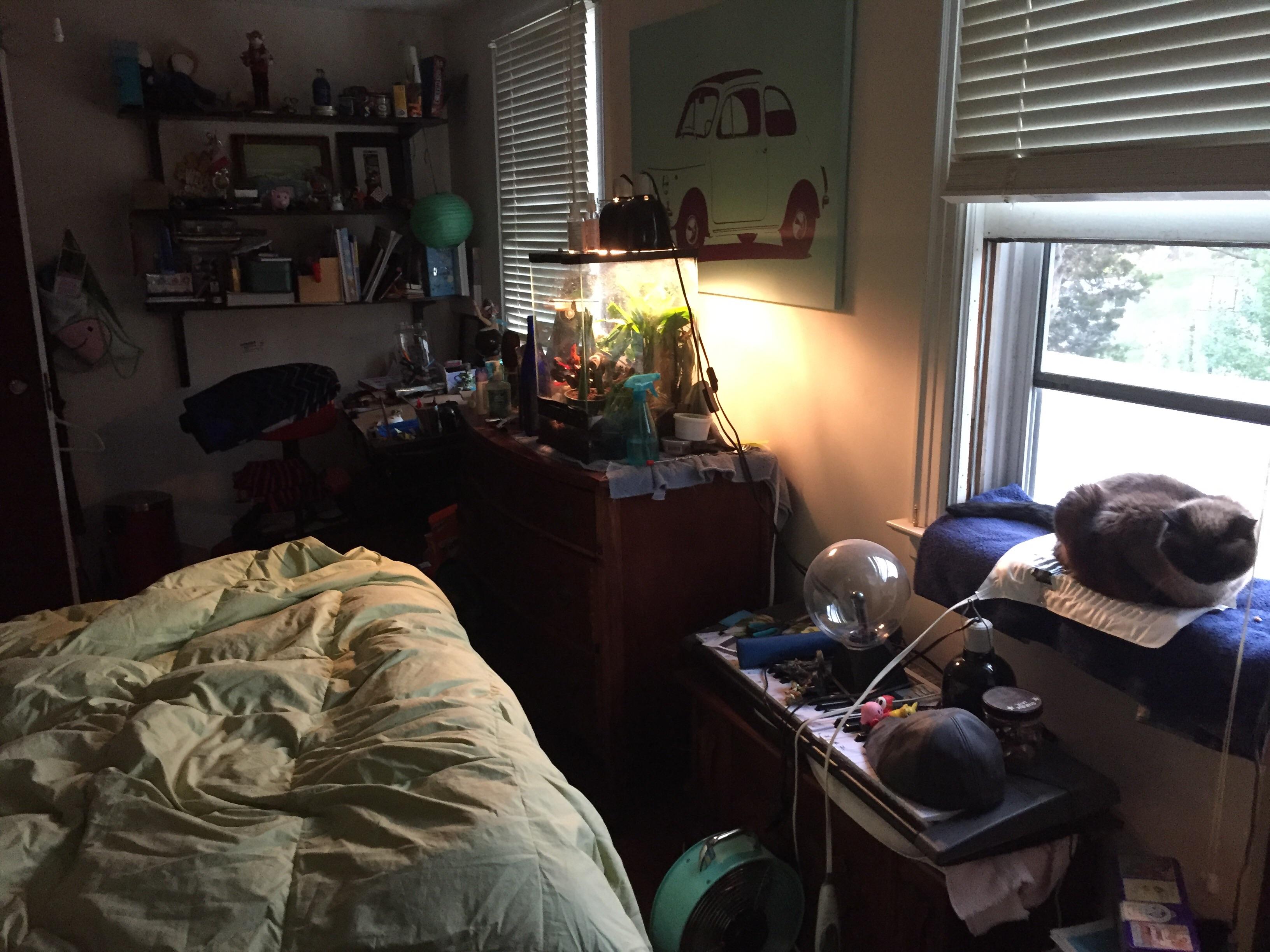 What does my room say about me? r/roomdetective