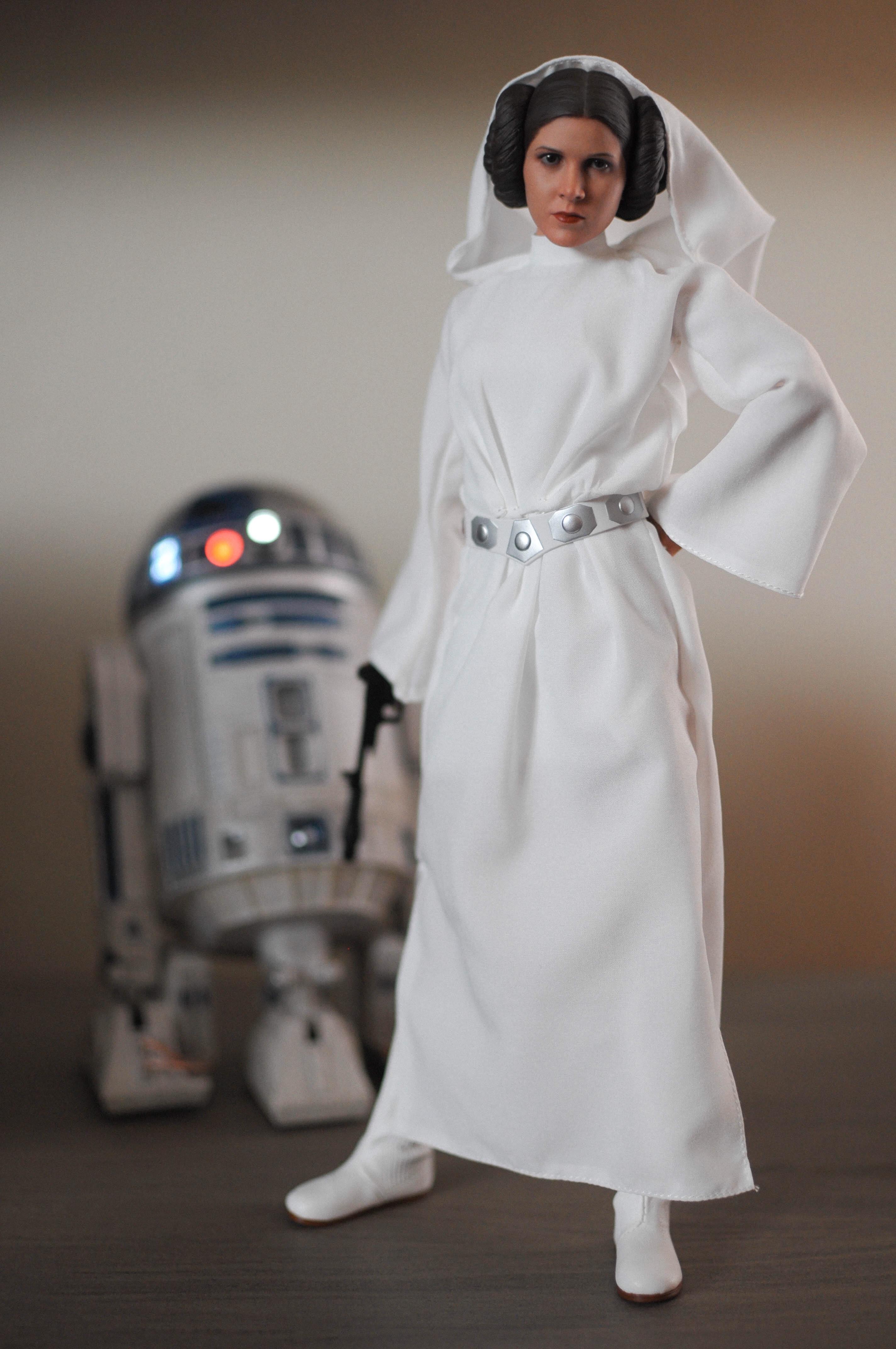 1/6 Princess Leia Organa by Hot Toys r/ActionFigures