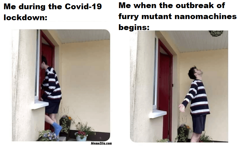 tf_irl tf_irl