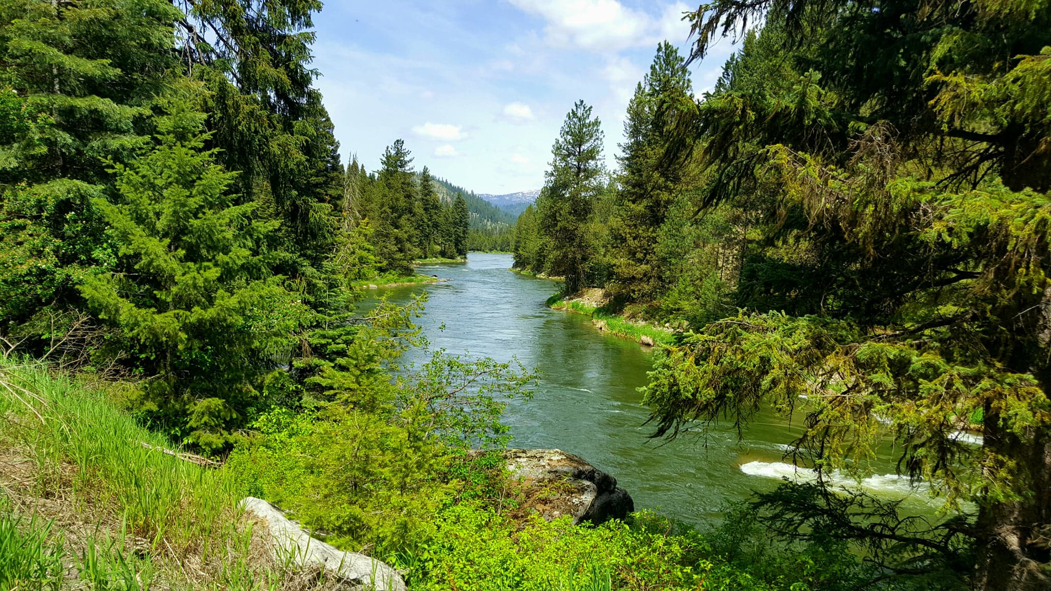 Payette National Forest Best Forest Trails in Payette National Forest