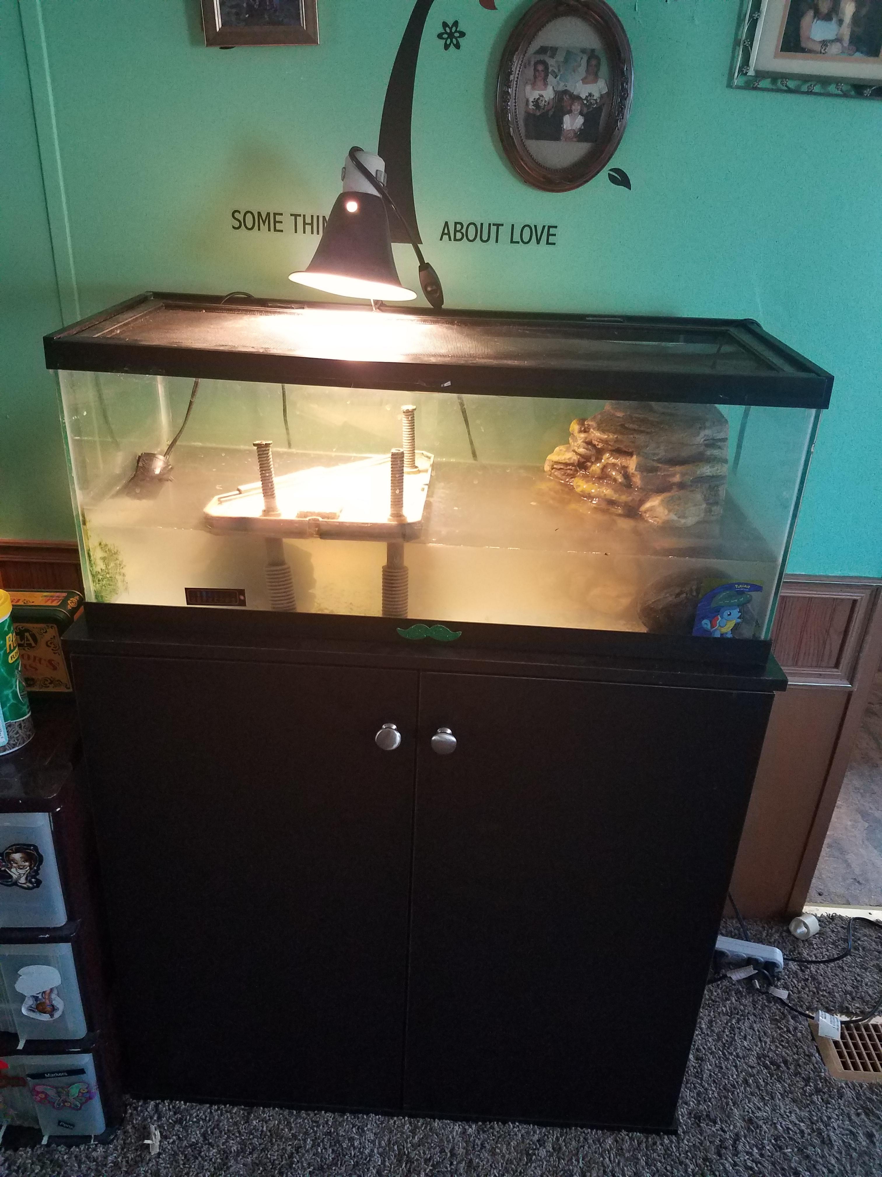 My musk turtles thanks gets dirty so quickly. How do I keep it cleaner