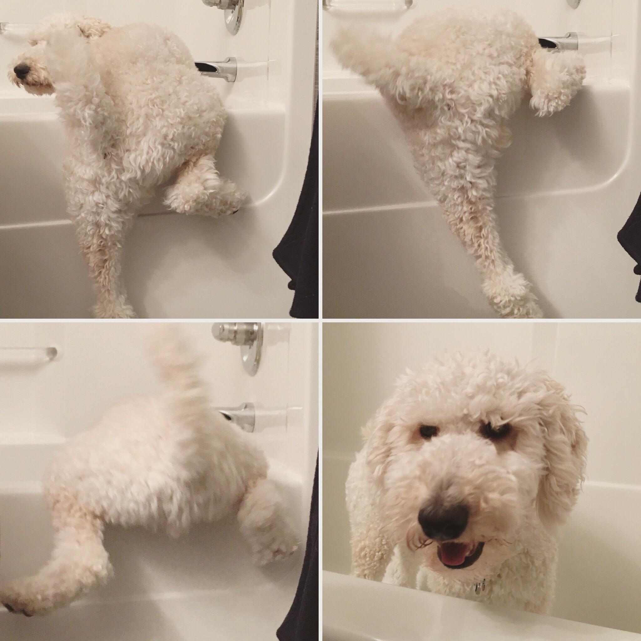 Jeff likes to climb into the empty bathtub and stand there staring