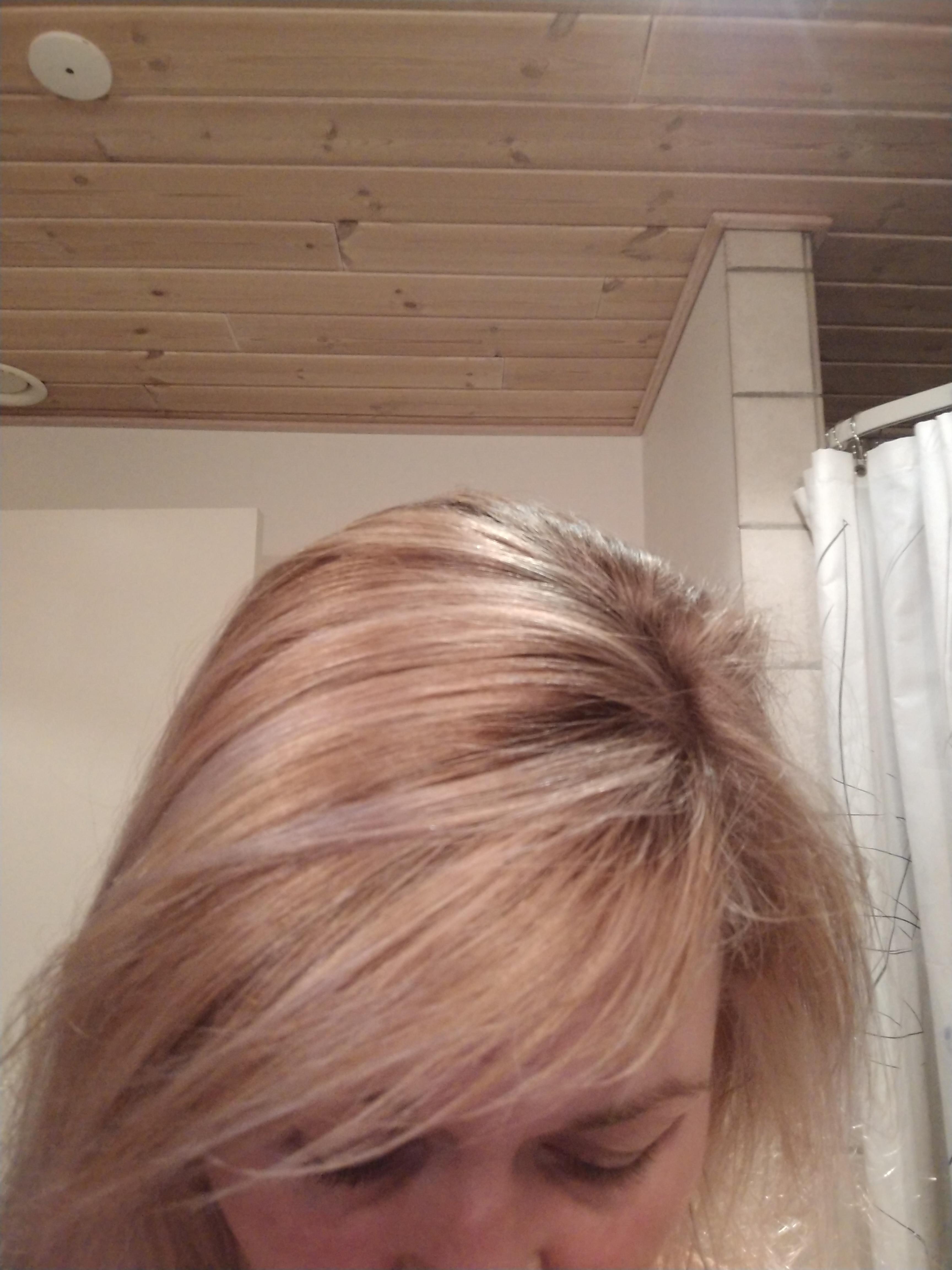 Why can't my hair highlight anymore? ( r/FancyFollicles