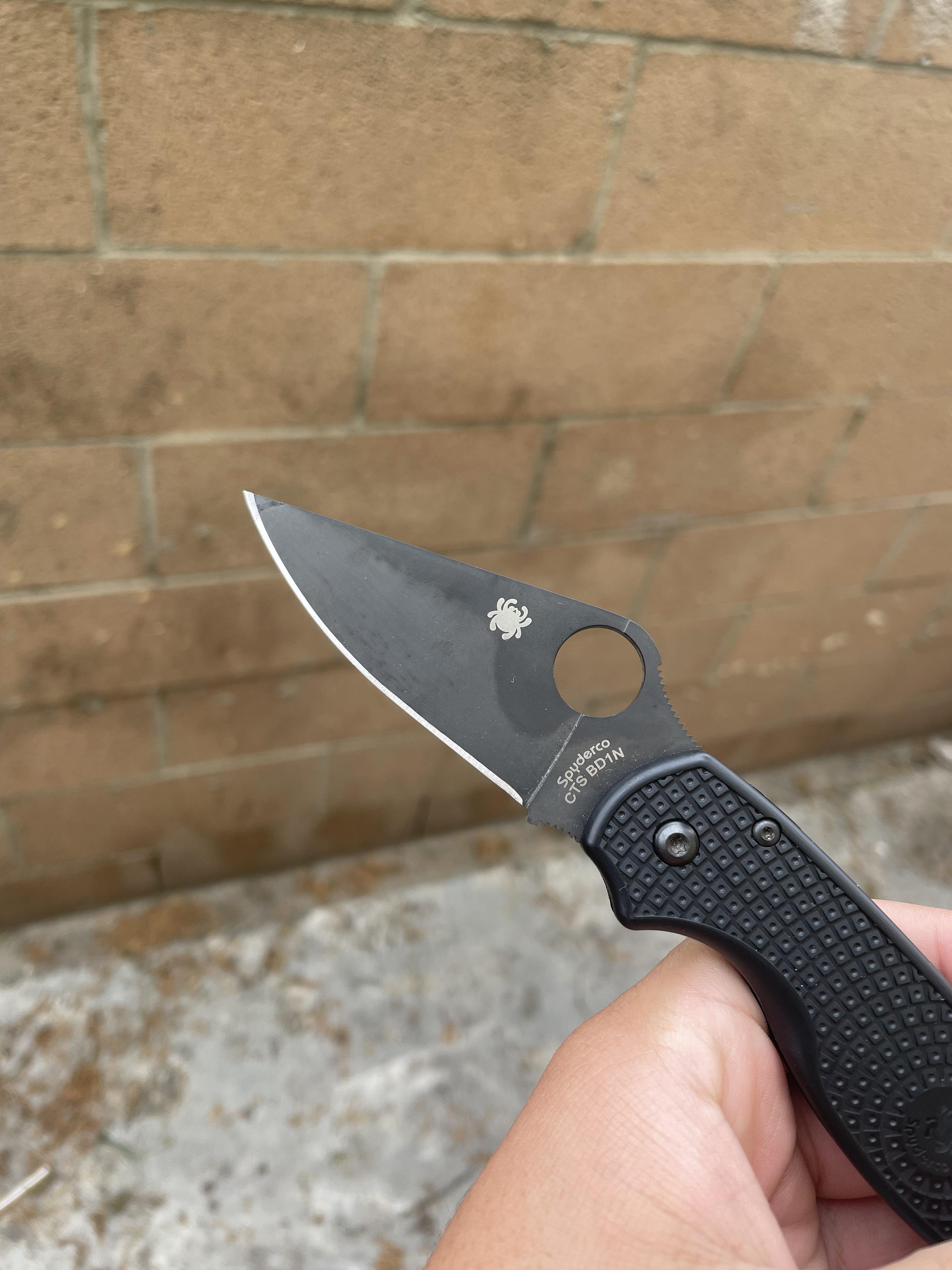 How to clean Spyderco Blade? r/spyderco