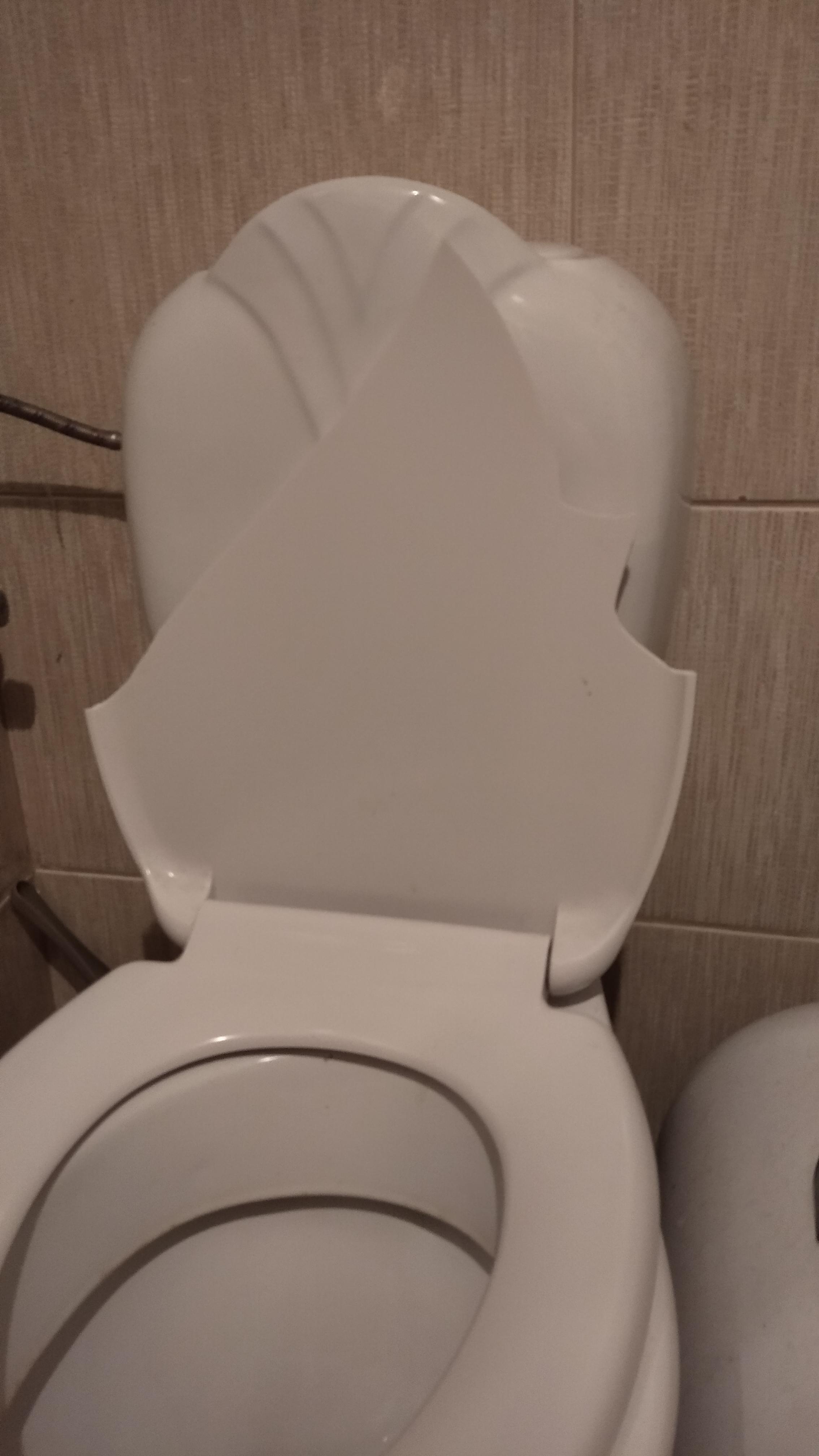 Broke my toilet seat r/notinteresting