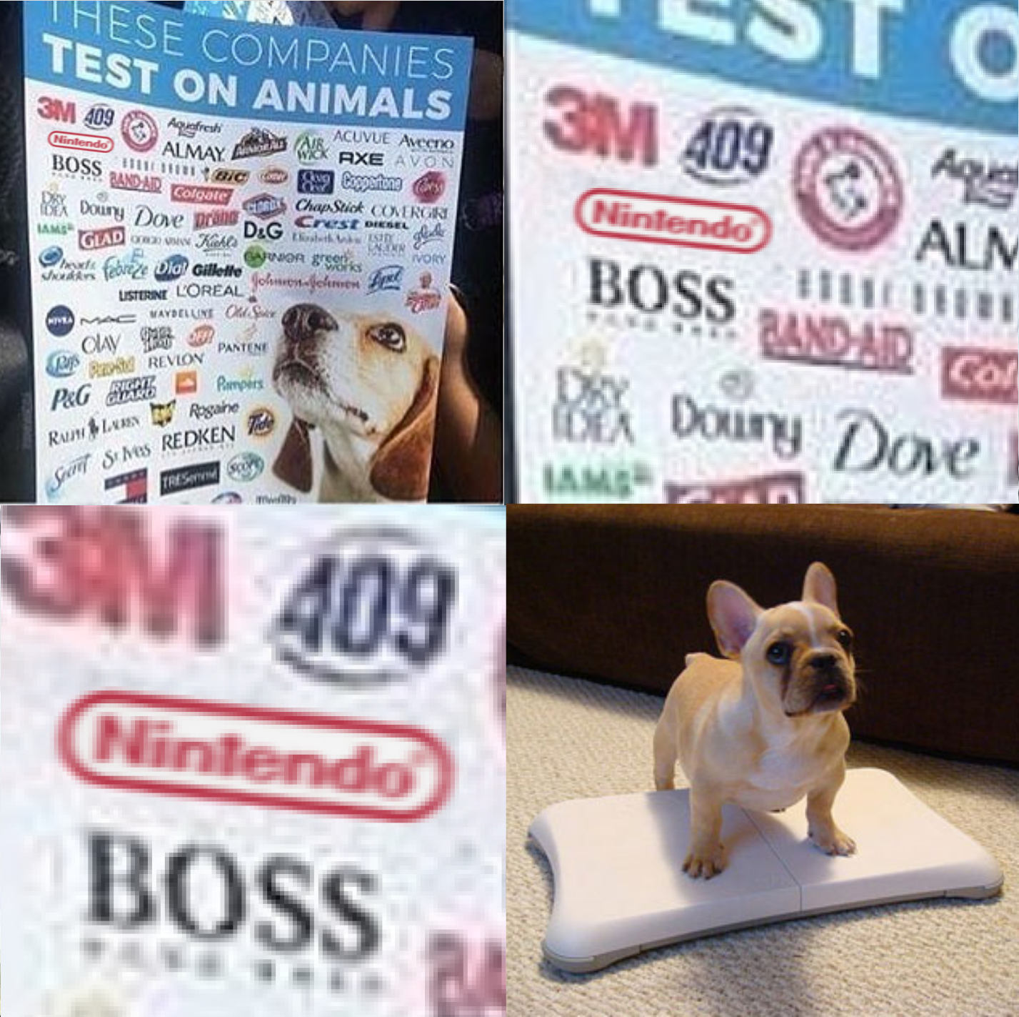 These companies test on animals memes