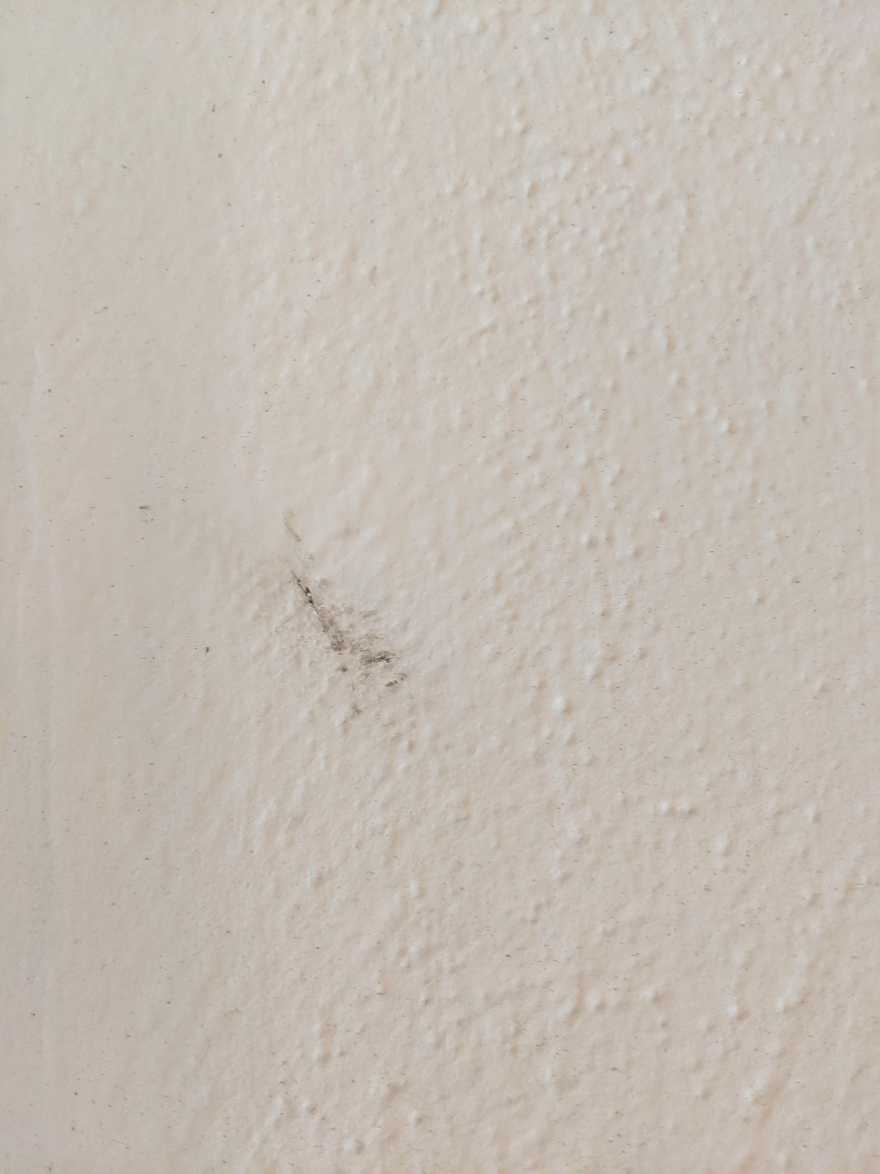 Suddenly discovered discoloration on my ceiling fan, is this mold? Mold