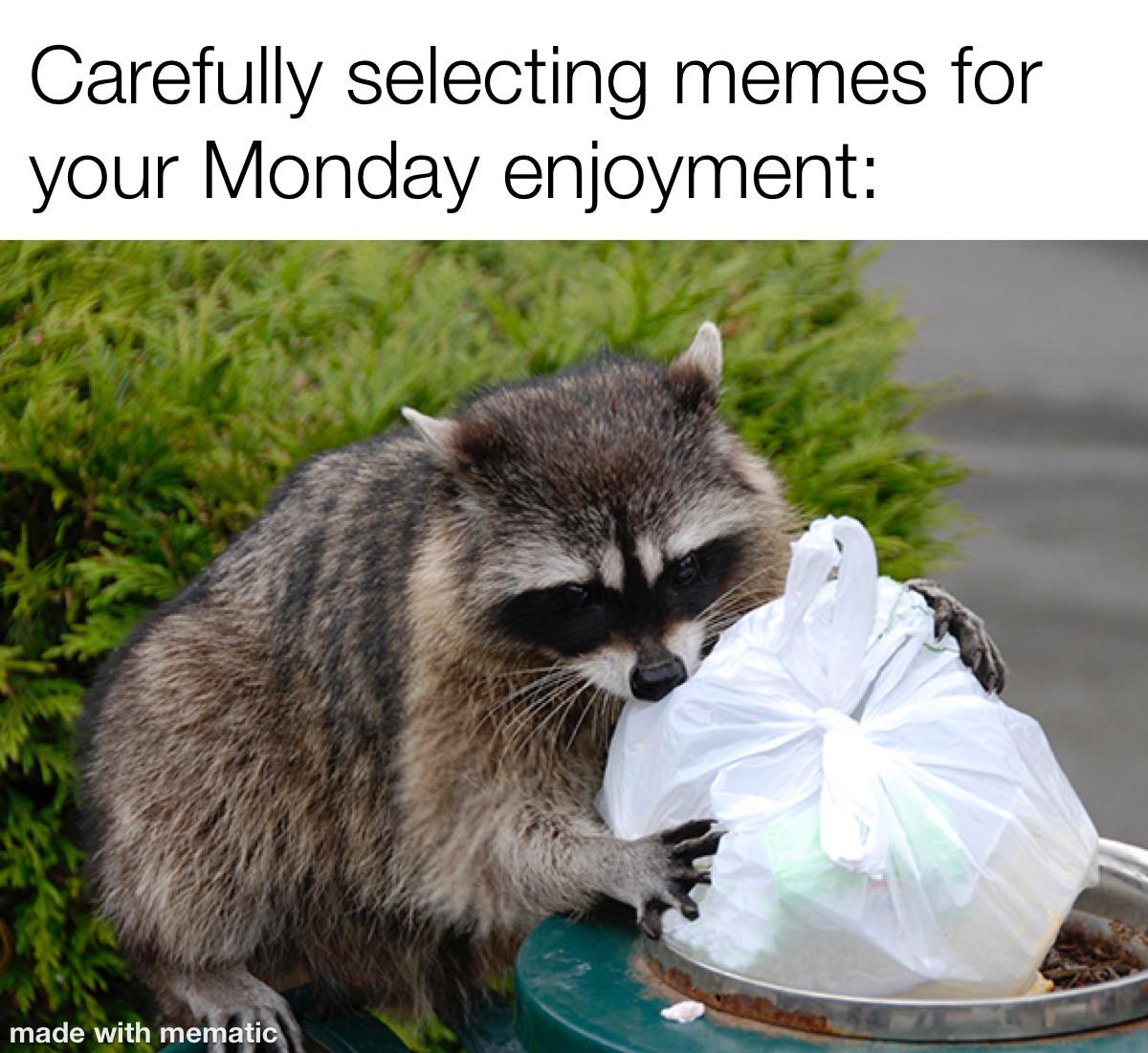 Happy Monday, from your local trash panda. Post your romance memes and