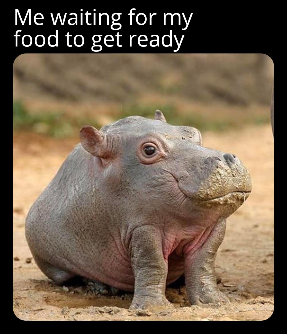 Gonna be a happy hippo r/MemeAddicts101