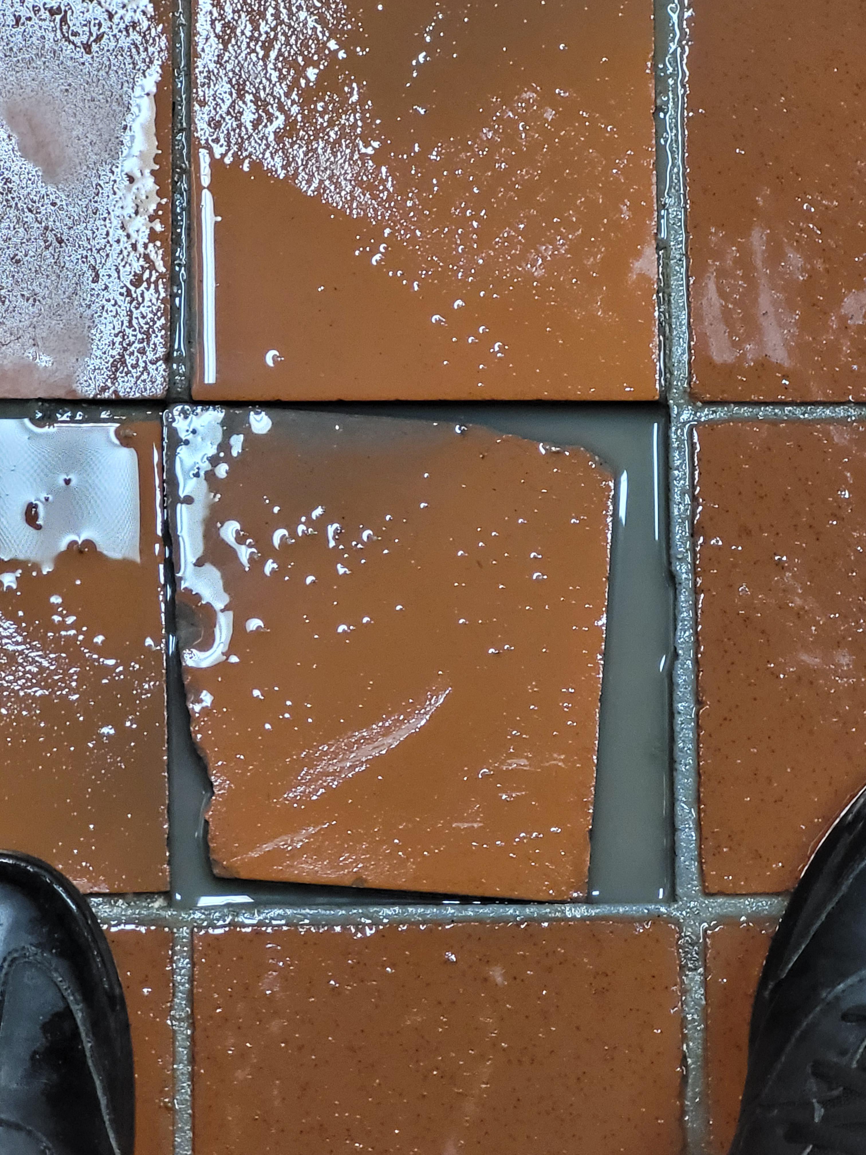 Anyone else got a stink puddle? r/dishwashers