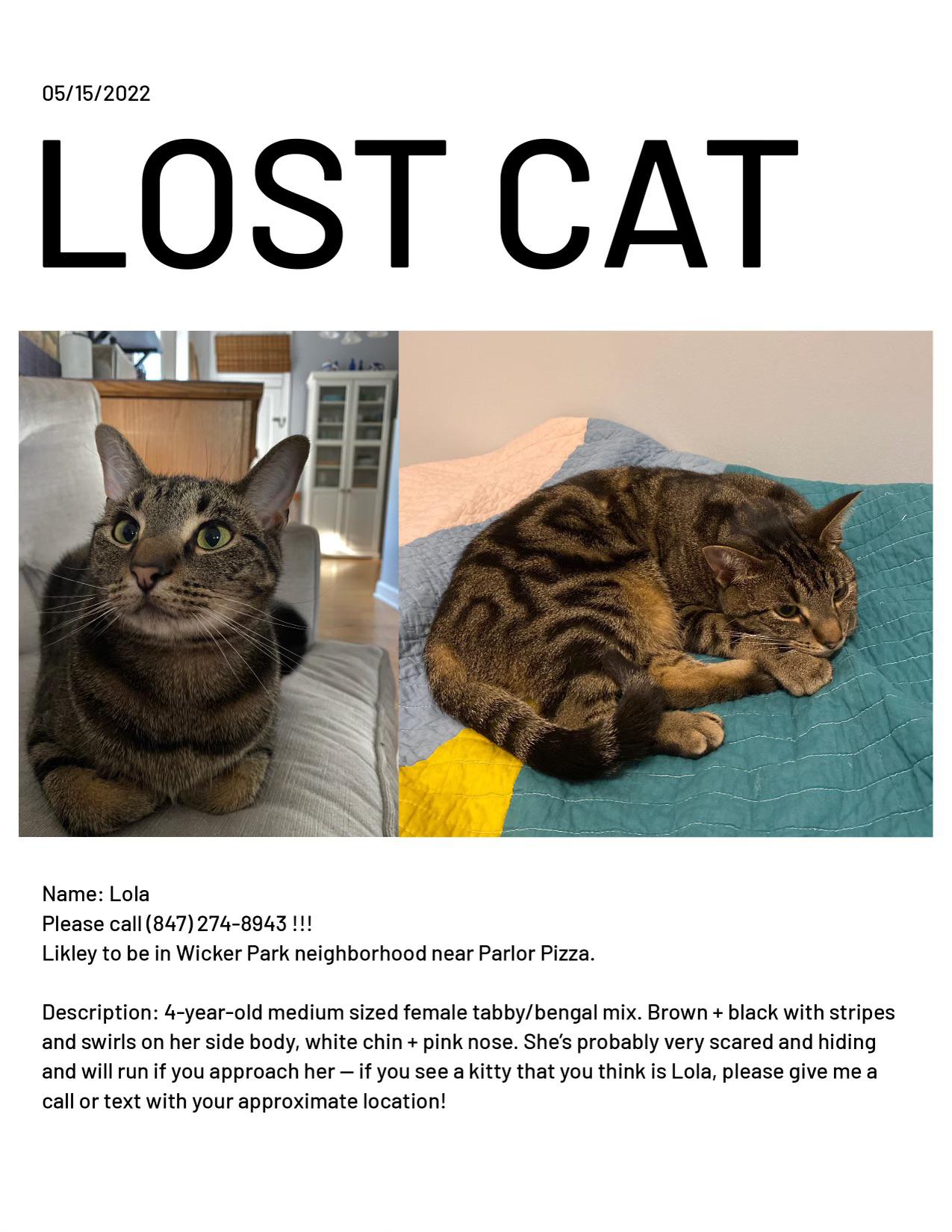 Wicker park area! r/chicago