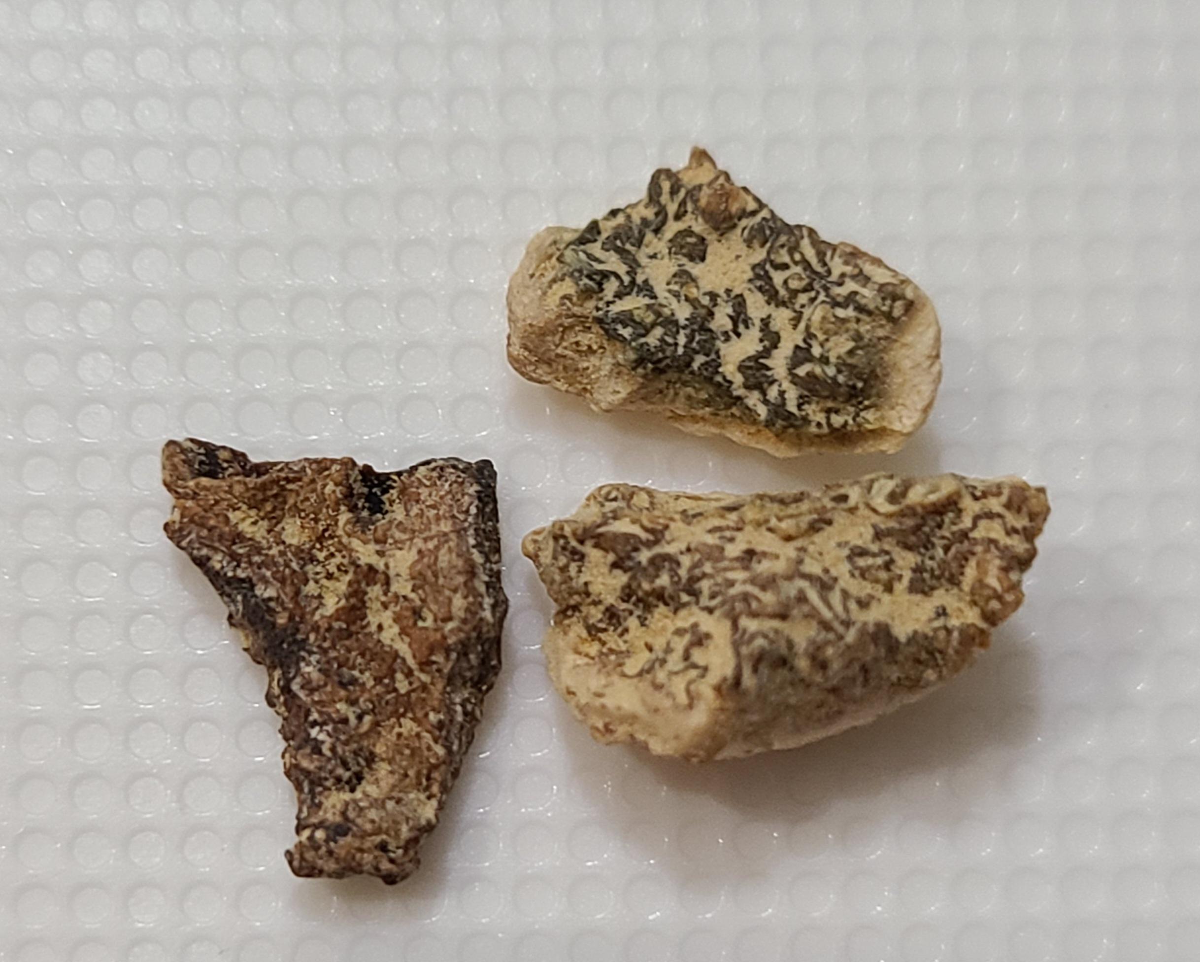 Question Is this ginger okay to consume? r/tea