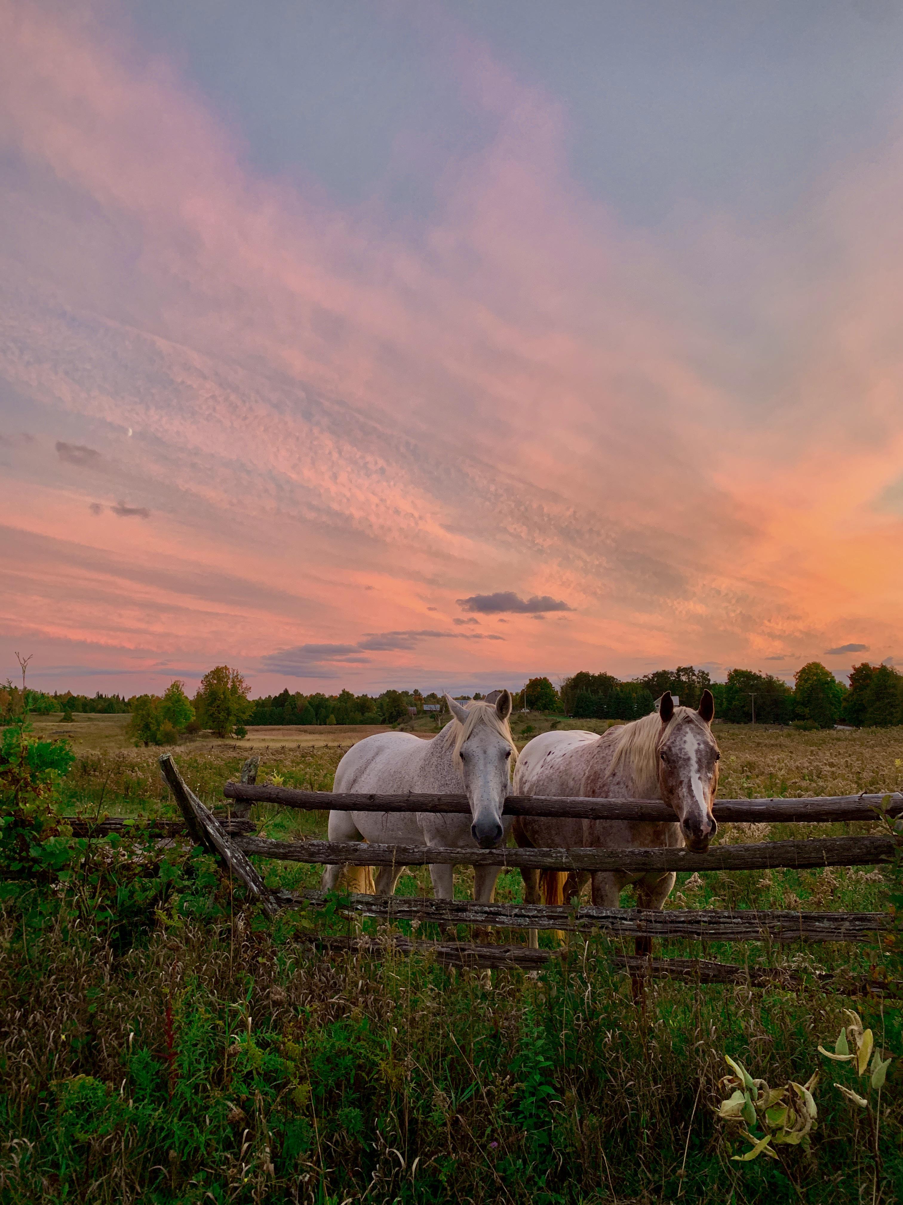 Scene from the backroads of Lanark Highlands. r/ontario