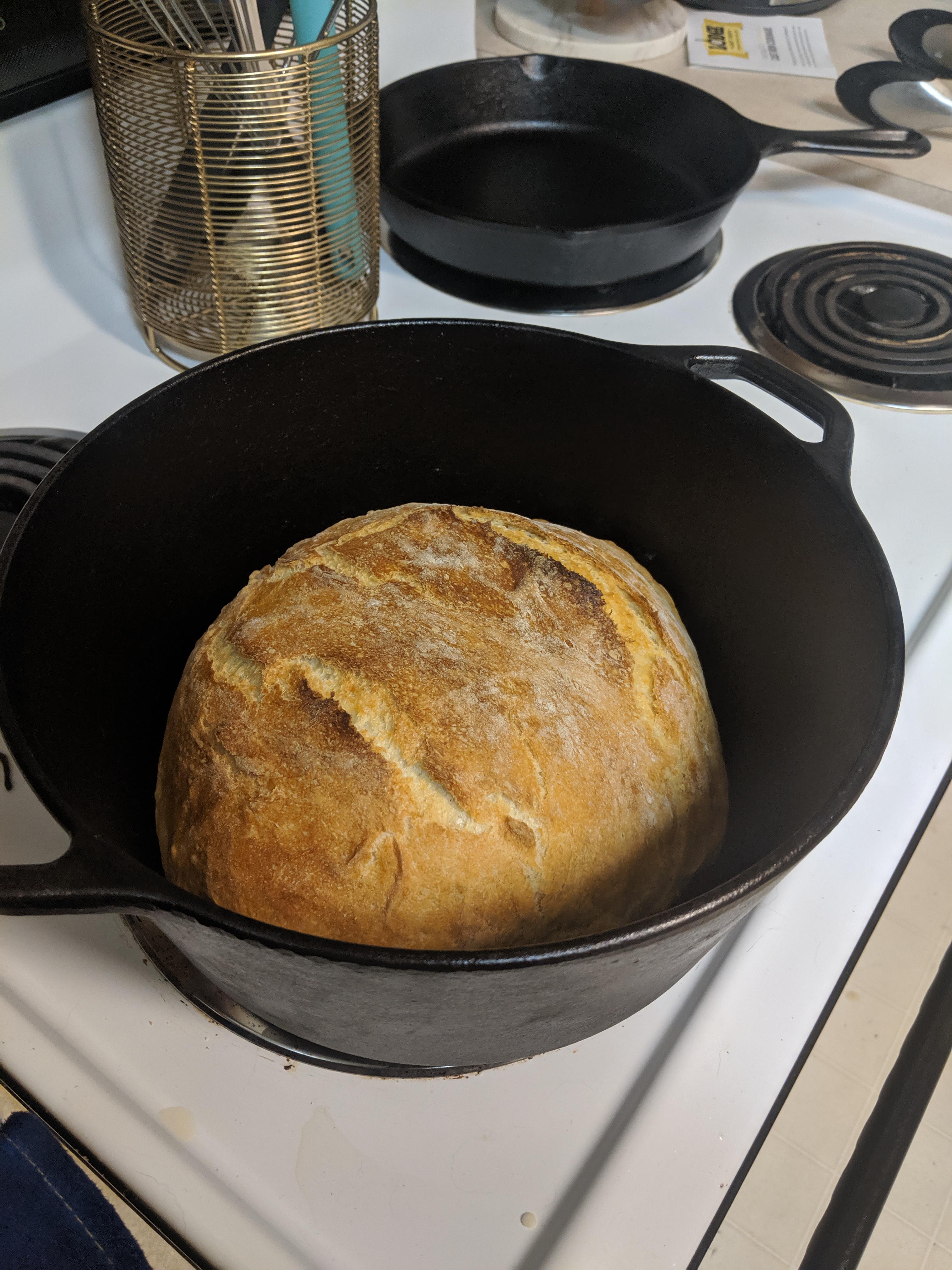 My first ever homemade bread, done in the dutch oven! r/castiron
