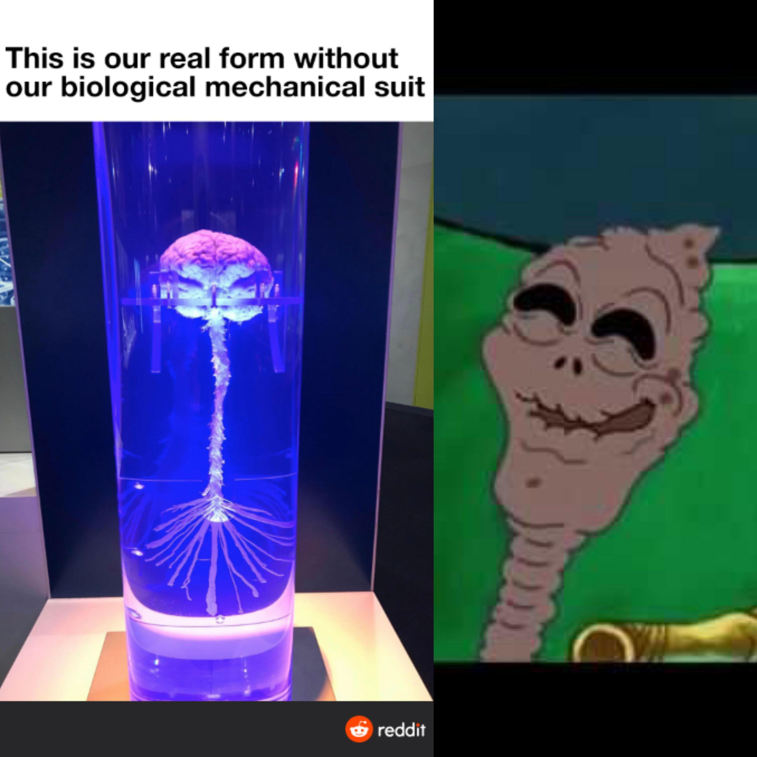 Spongebob Old Lady Chocolate Meme