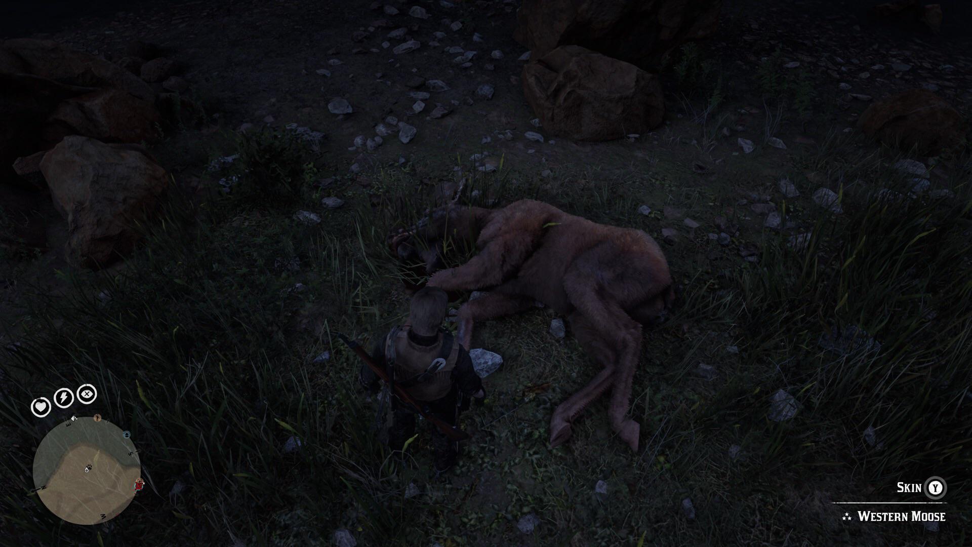 Stumbled upon this beast while looking for treasure near