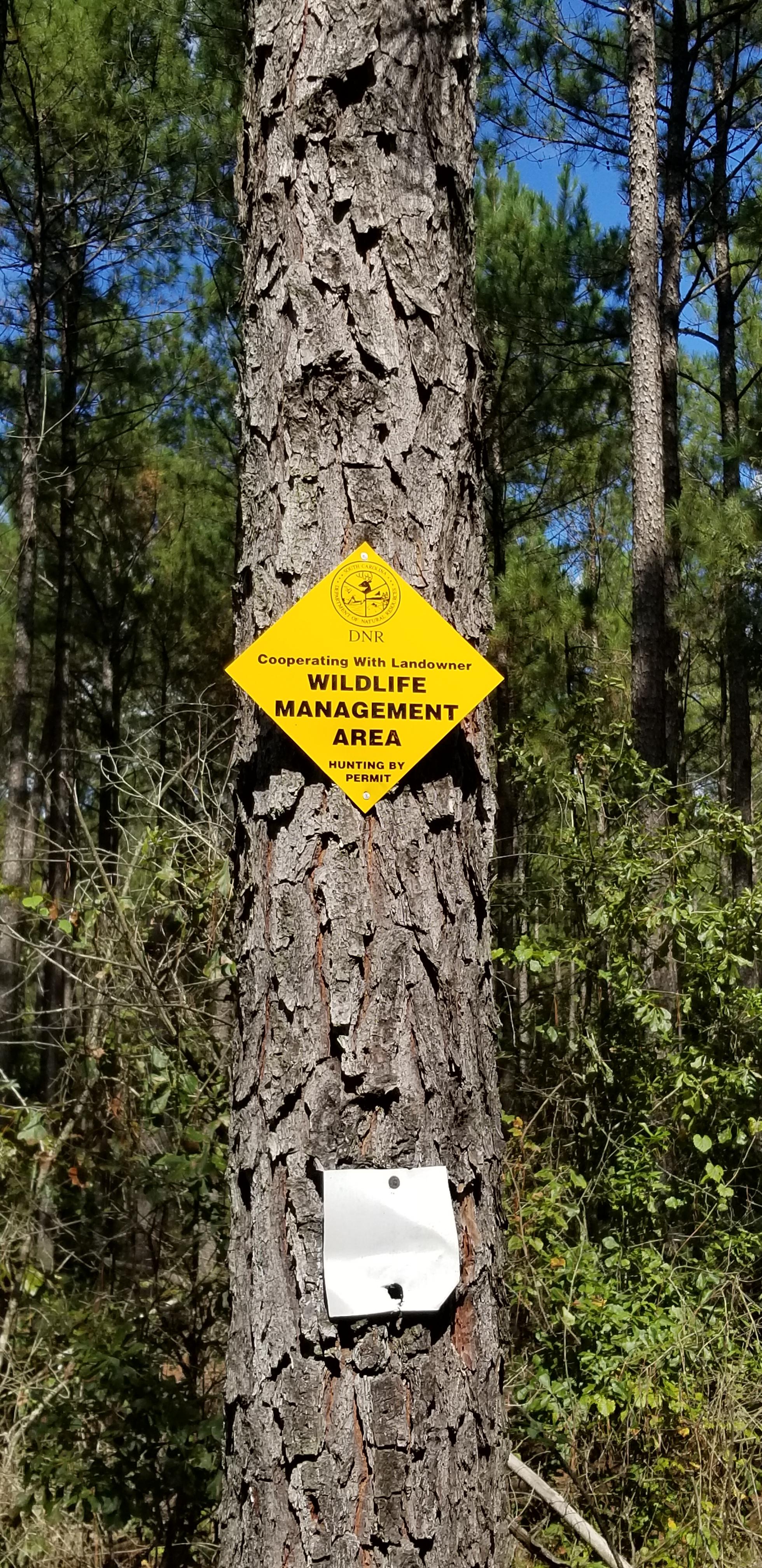 South Carolina looking for help, Unnamed WMAs...how do you know the