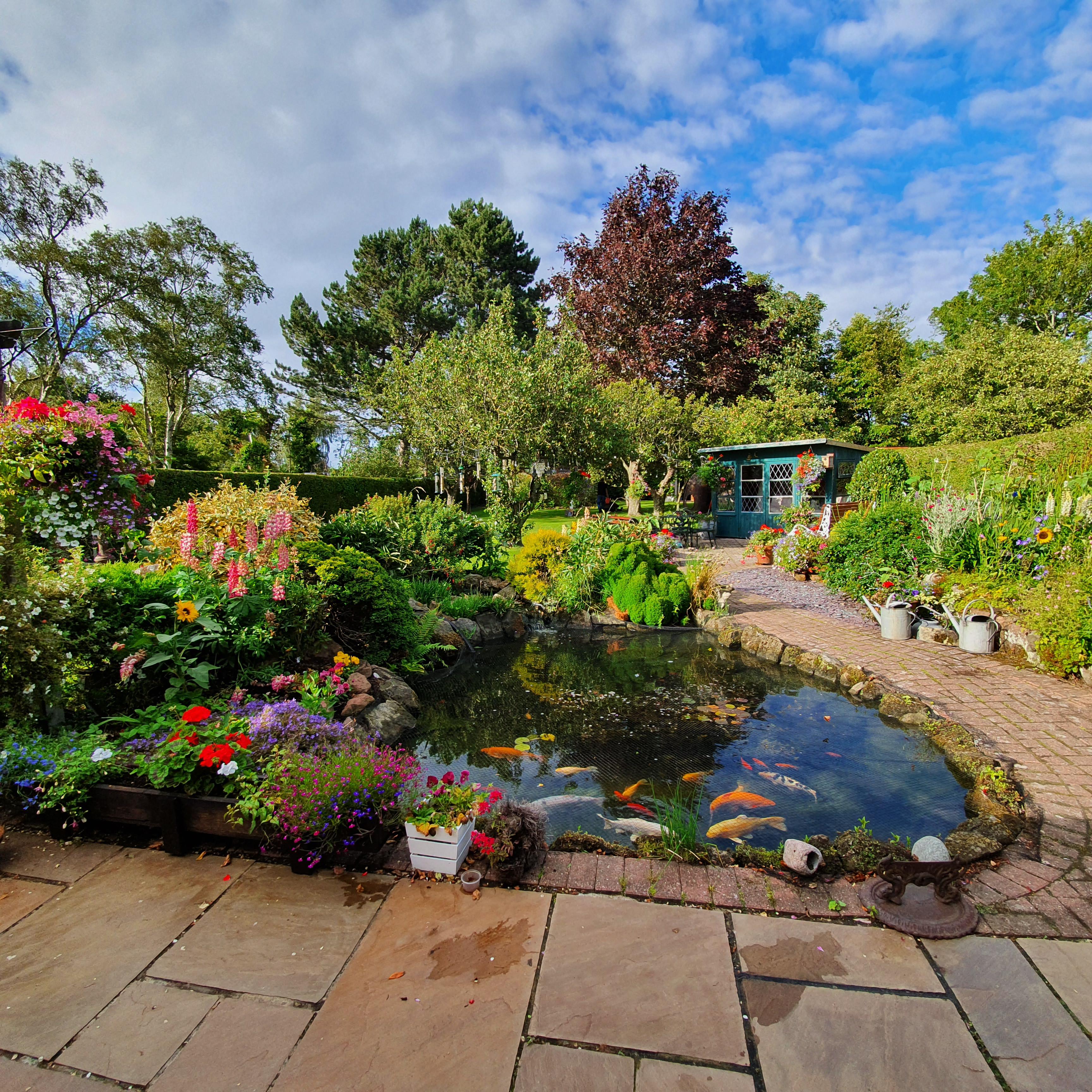 Just one very small part of my mum and dads garden. They put their