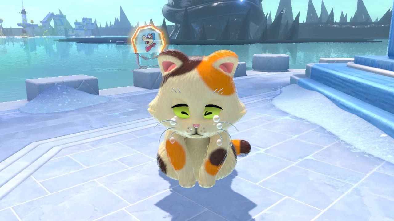 Sad Calico Cat in Bowser's Fury r/sadcats
