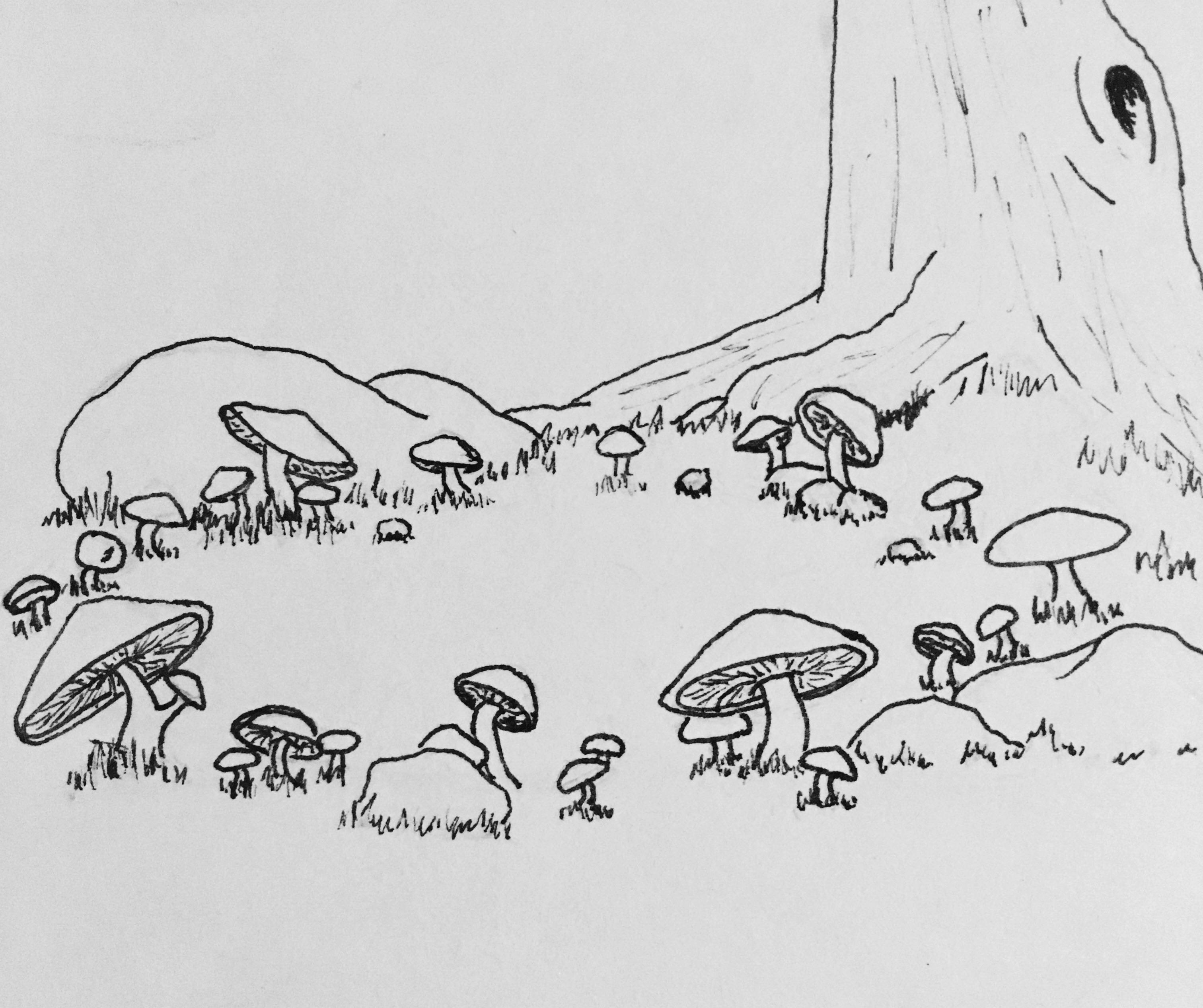 A fairy ring for day 1 r/Inktober