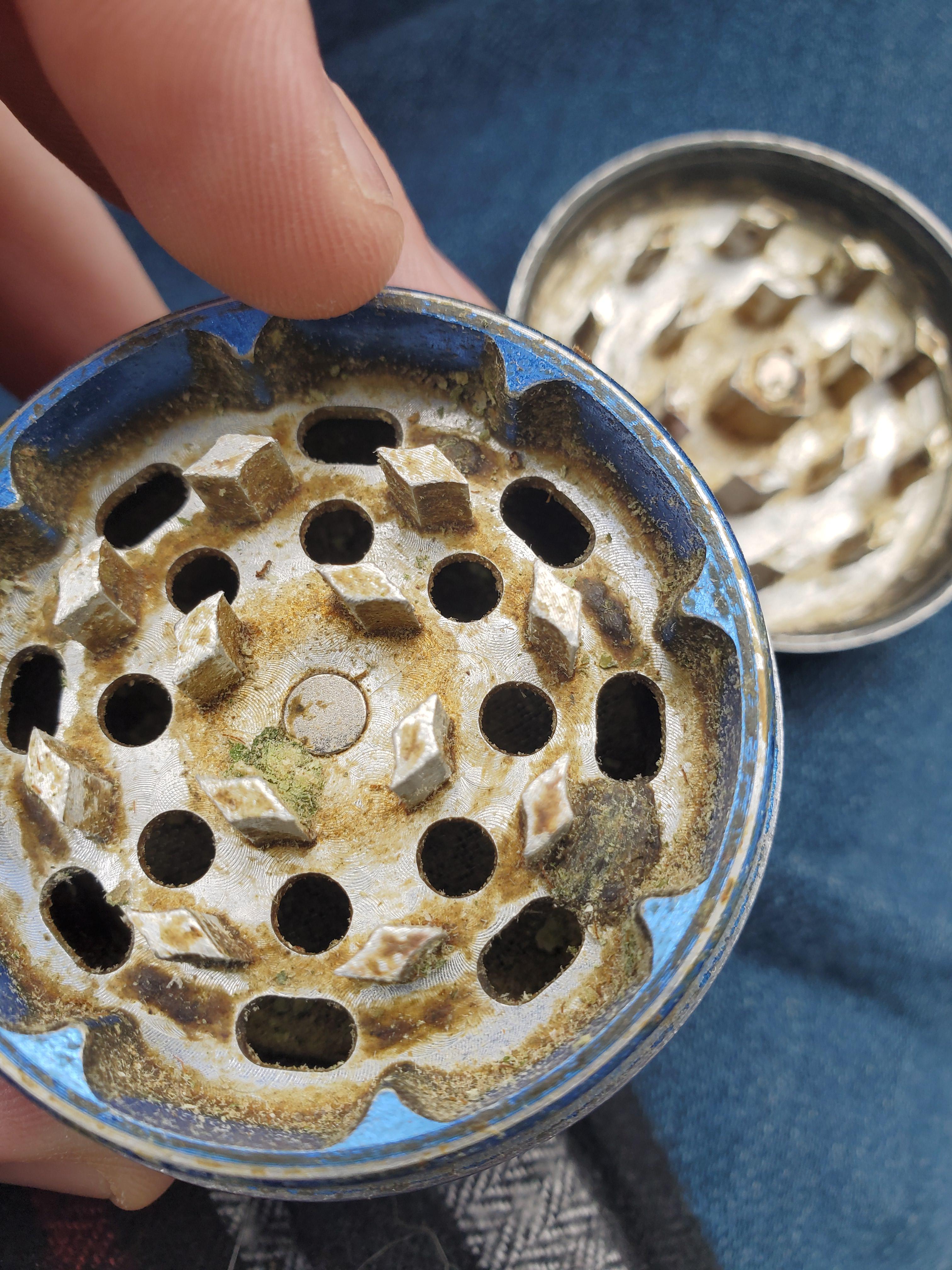 My grinders growing hash r/trees