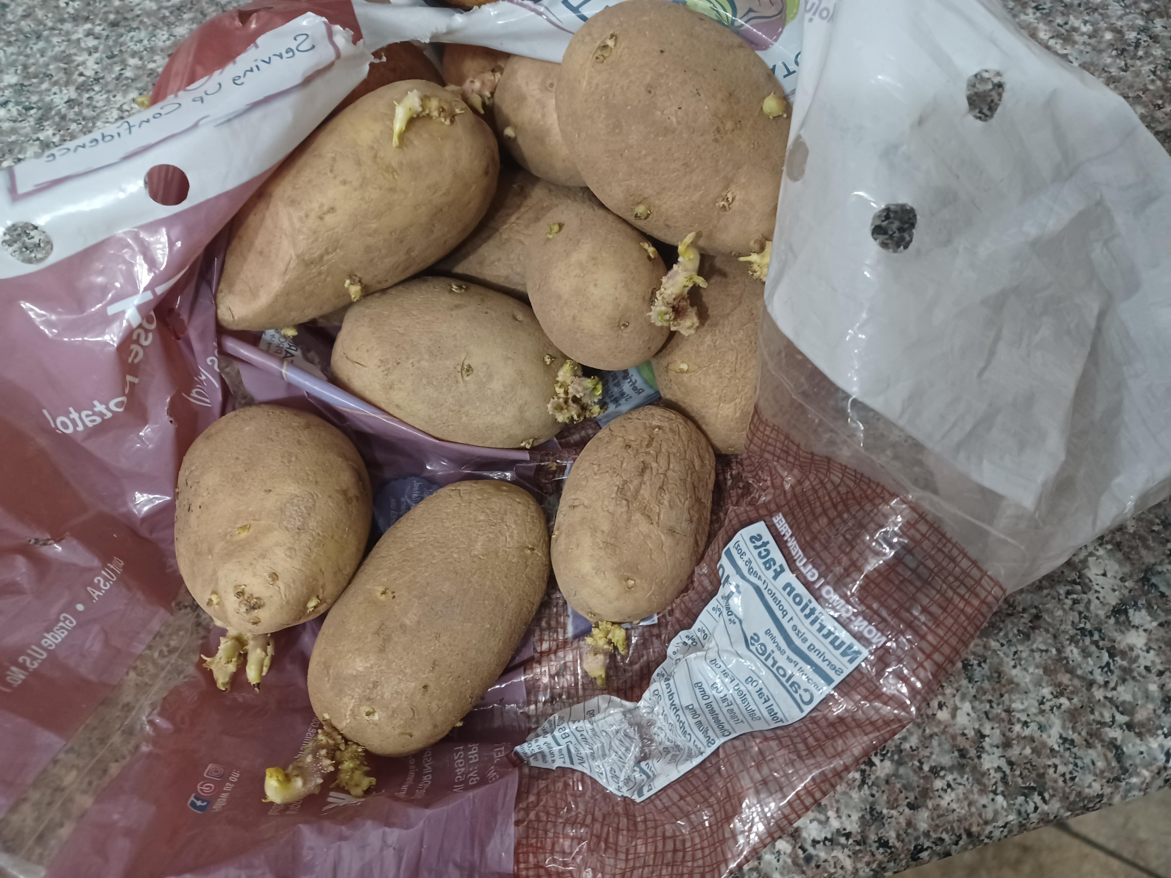 what can I do with these? I really want to grow potatoes this year as I