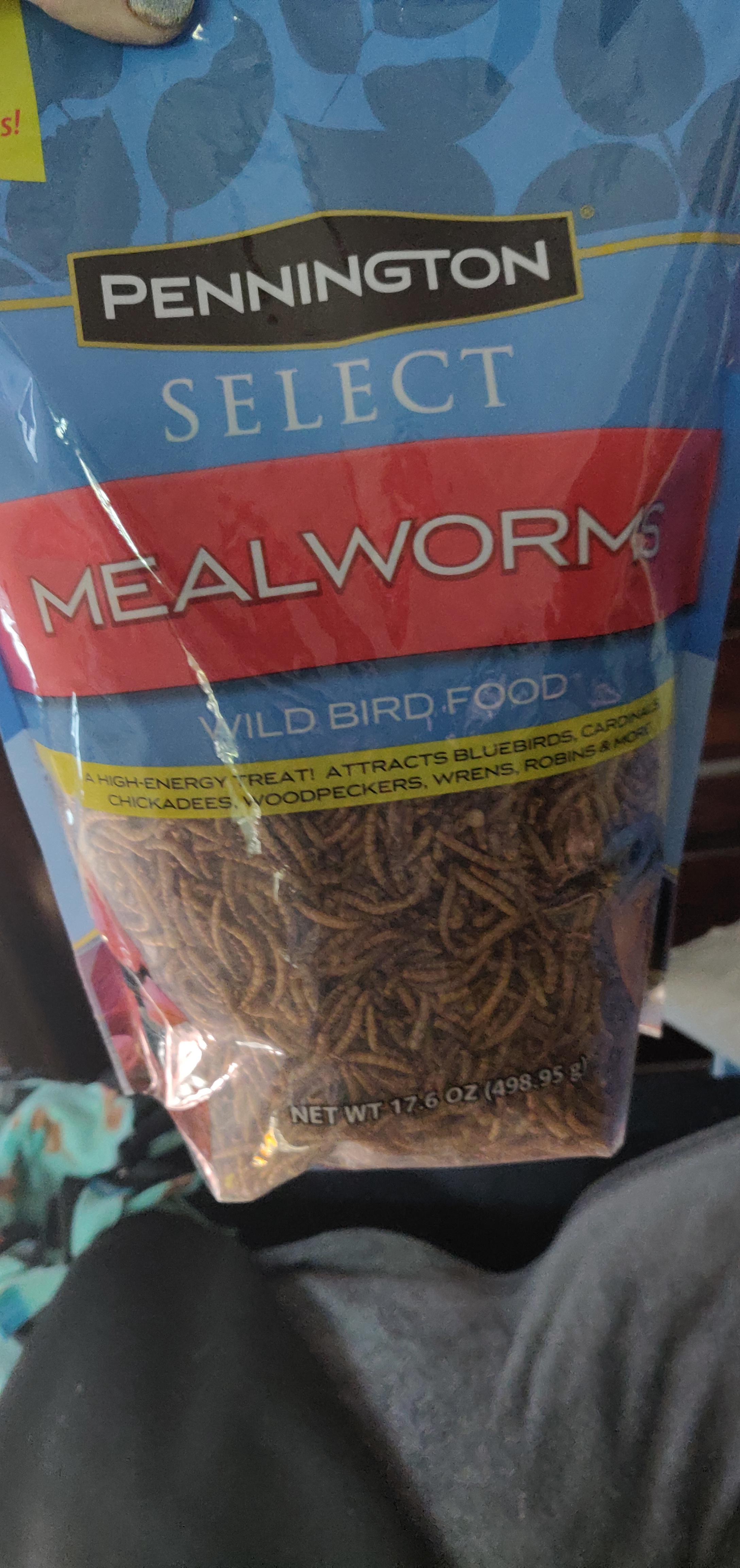 Can My Rats Eat Mealworms (as a treat)??? r/RATS