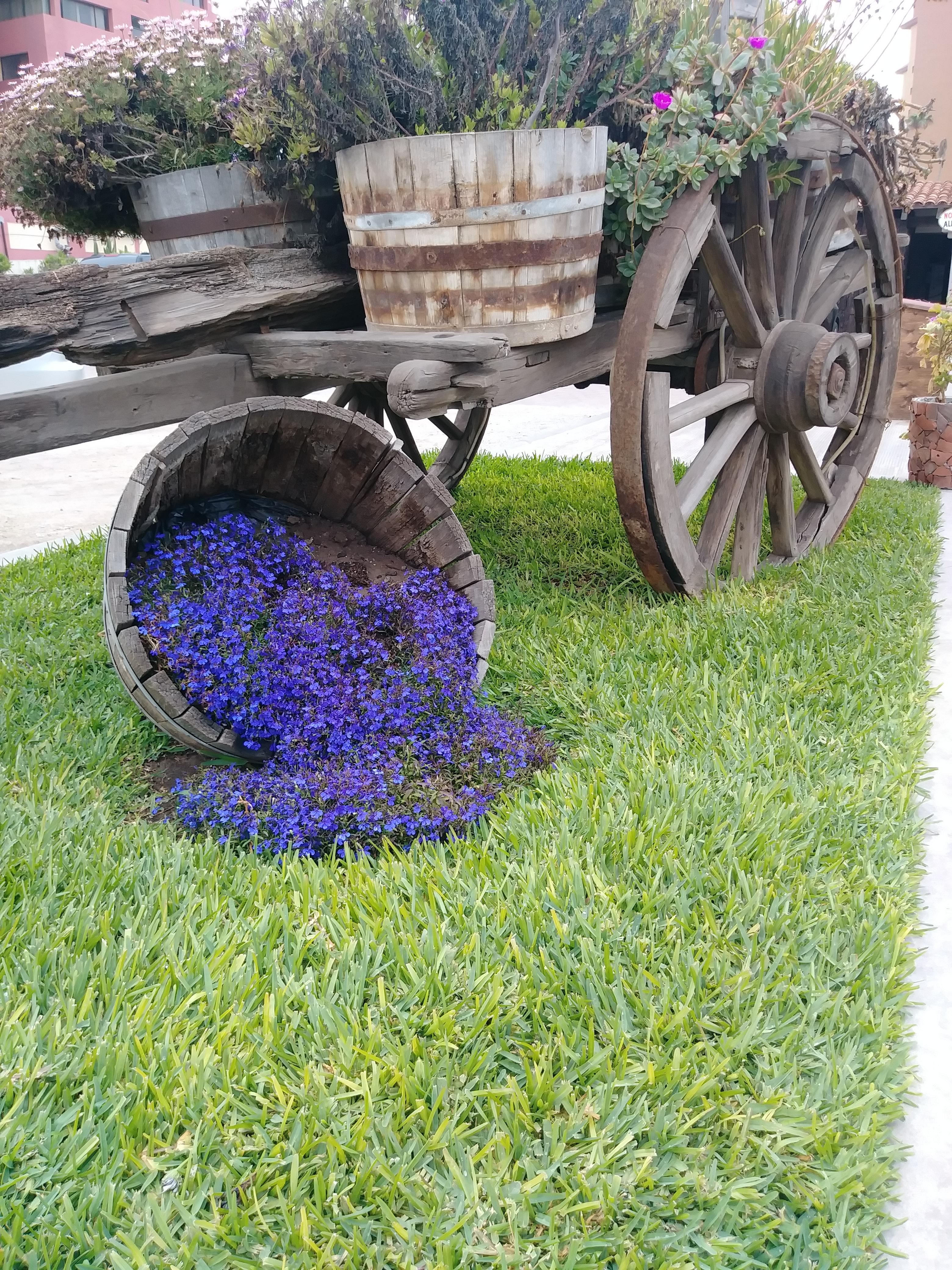 These flowers were arranged to look like water spilling from a bucket