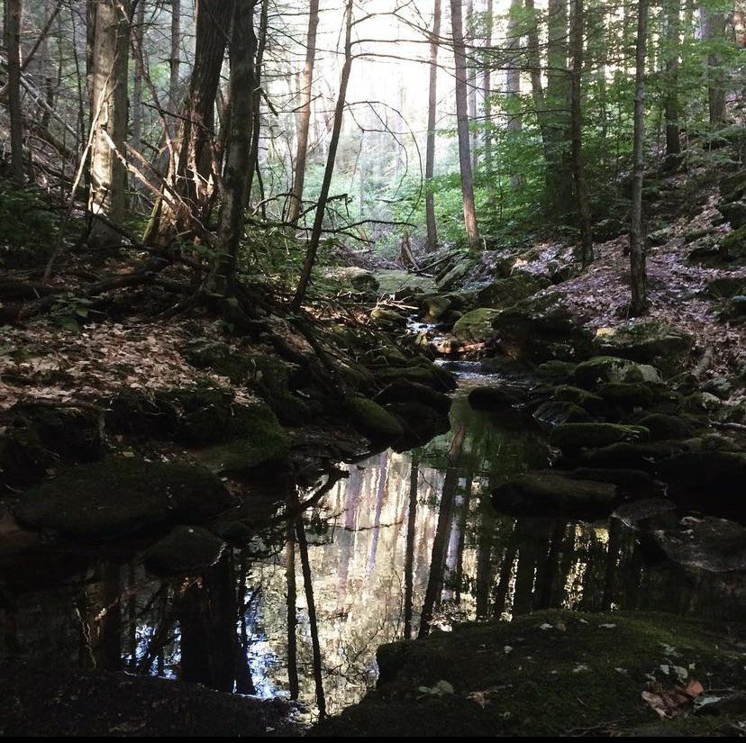 This is either in or near Belchertown, Massachusetts. It’s the only